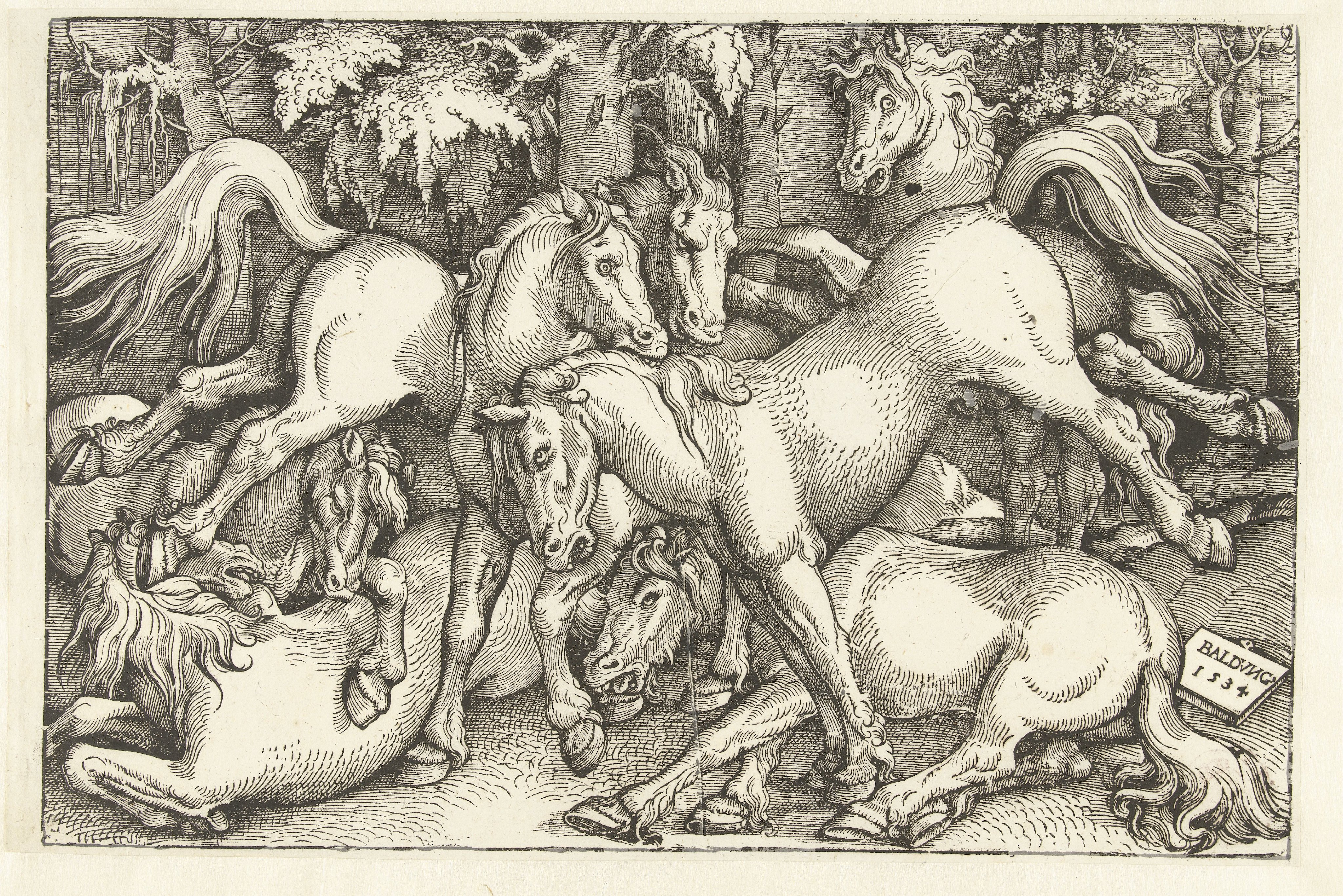 Groep van zeven vechtende paarden