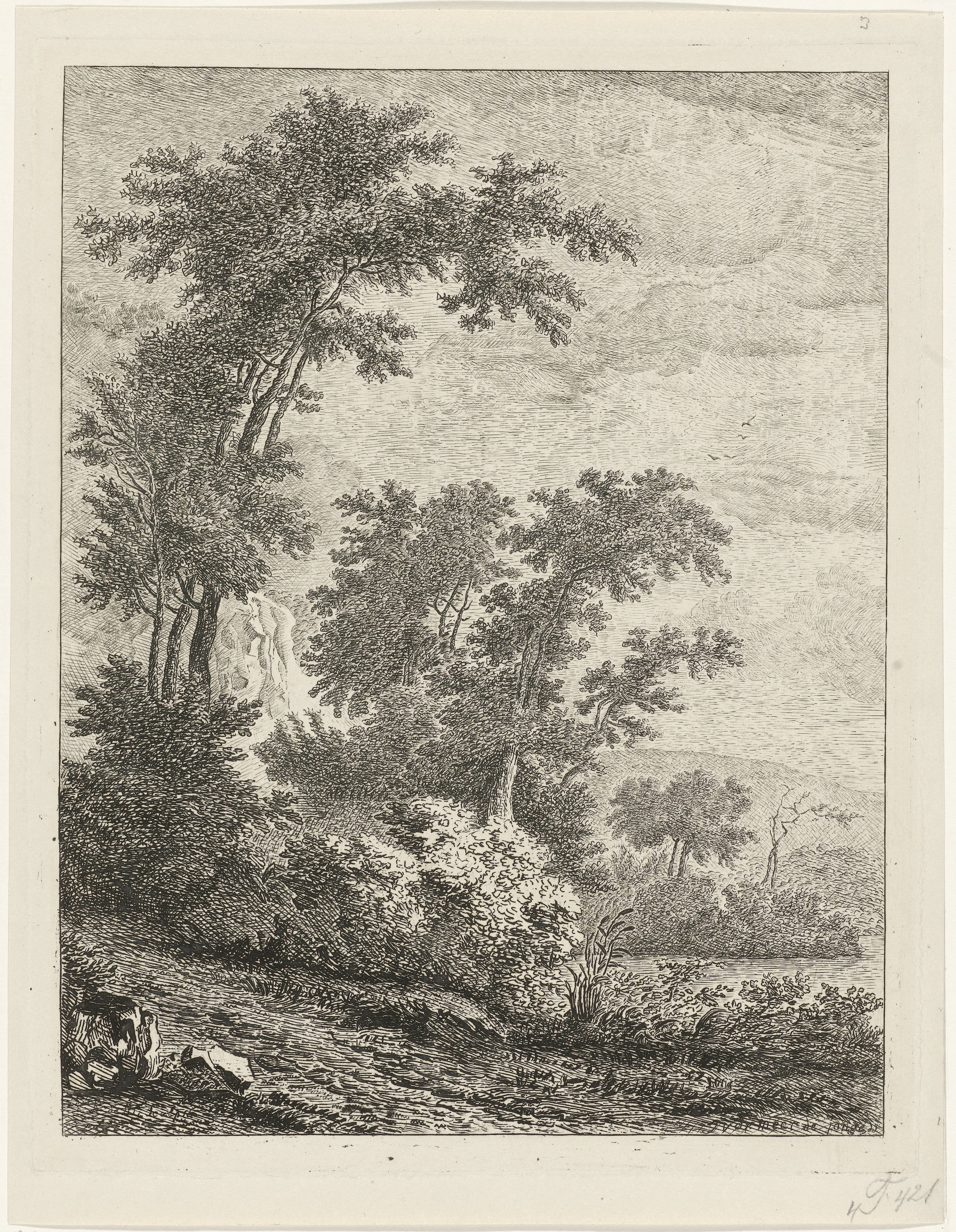 Landschap met hoge bomen