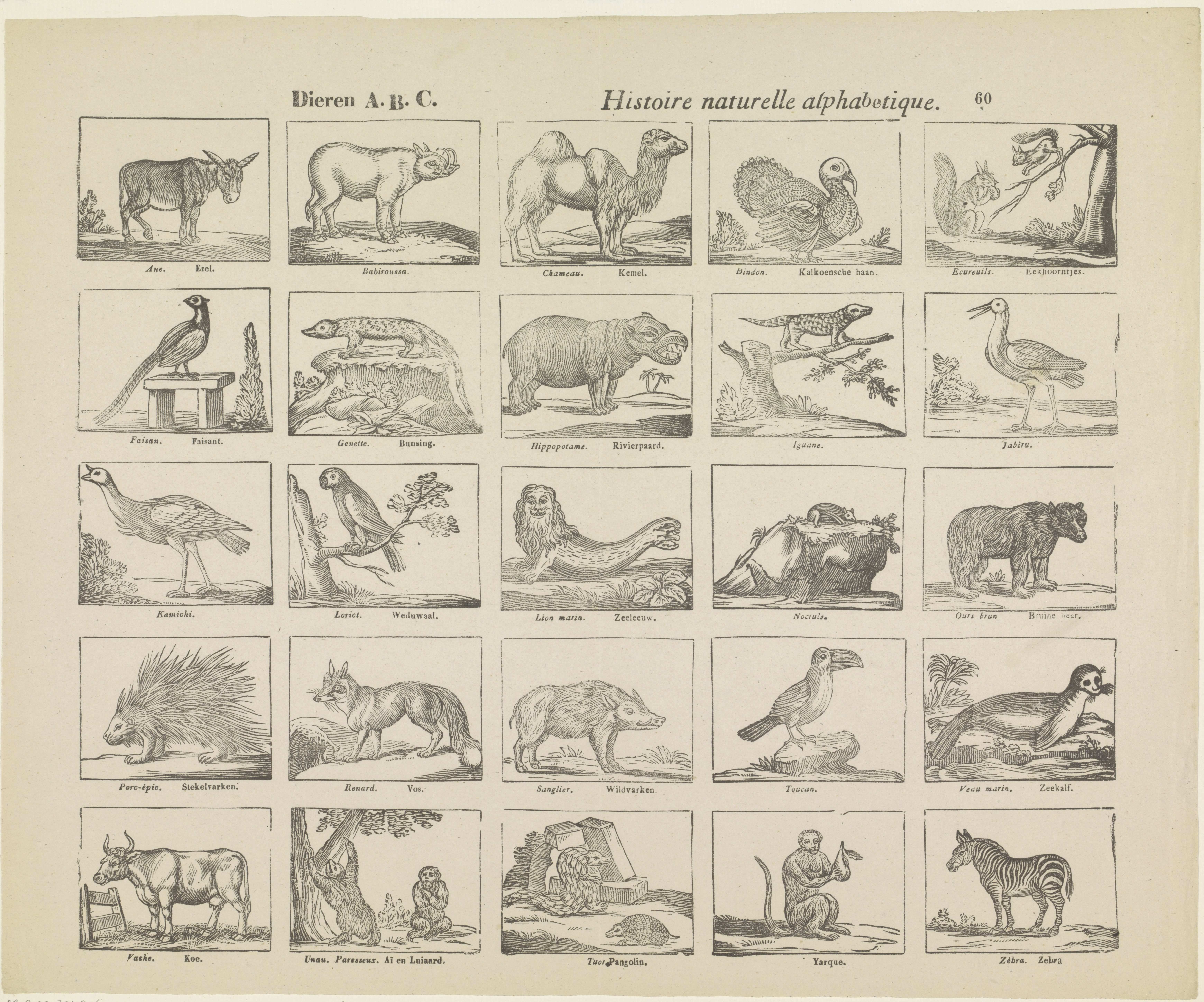 Dieren A.B.C. / histoire naturelle alphabetique