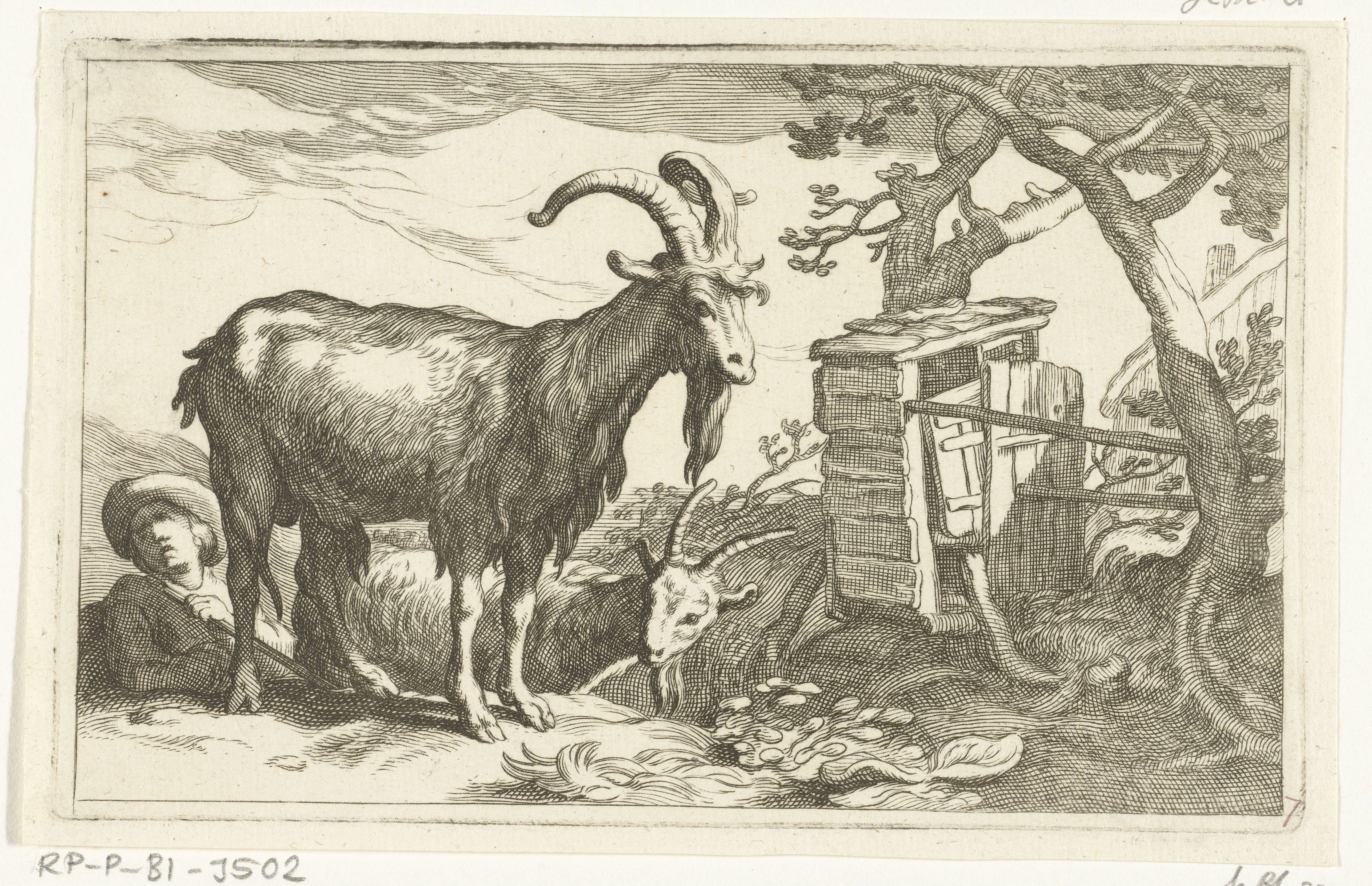 Geiten