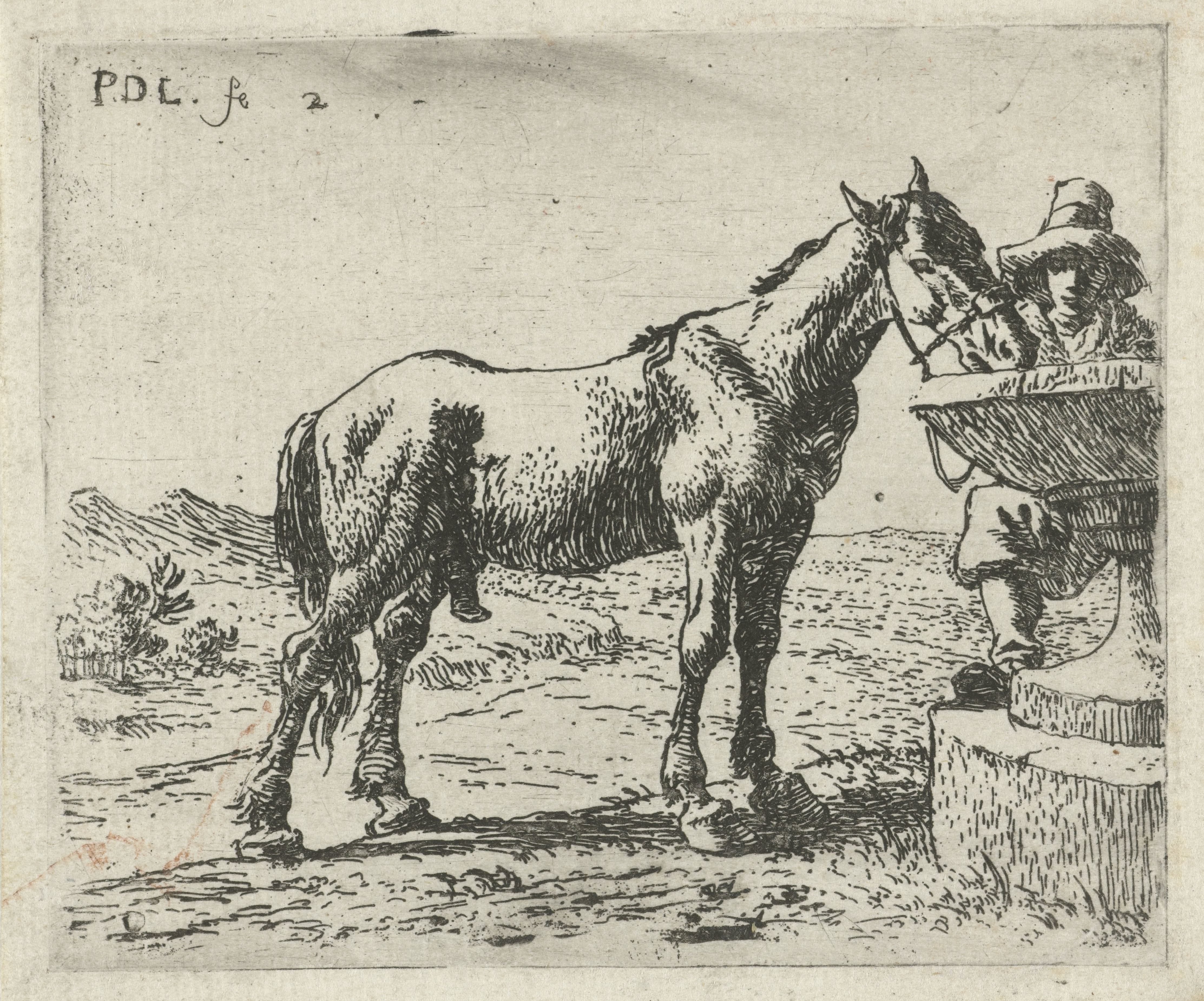 Drinkend paard