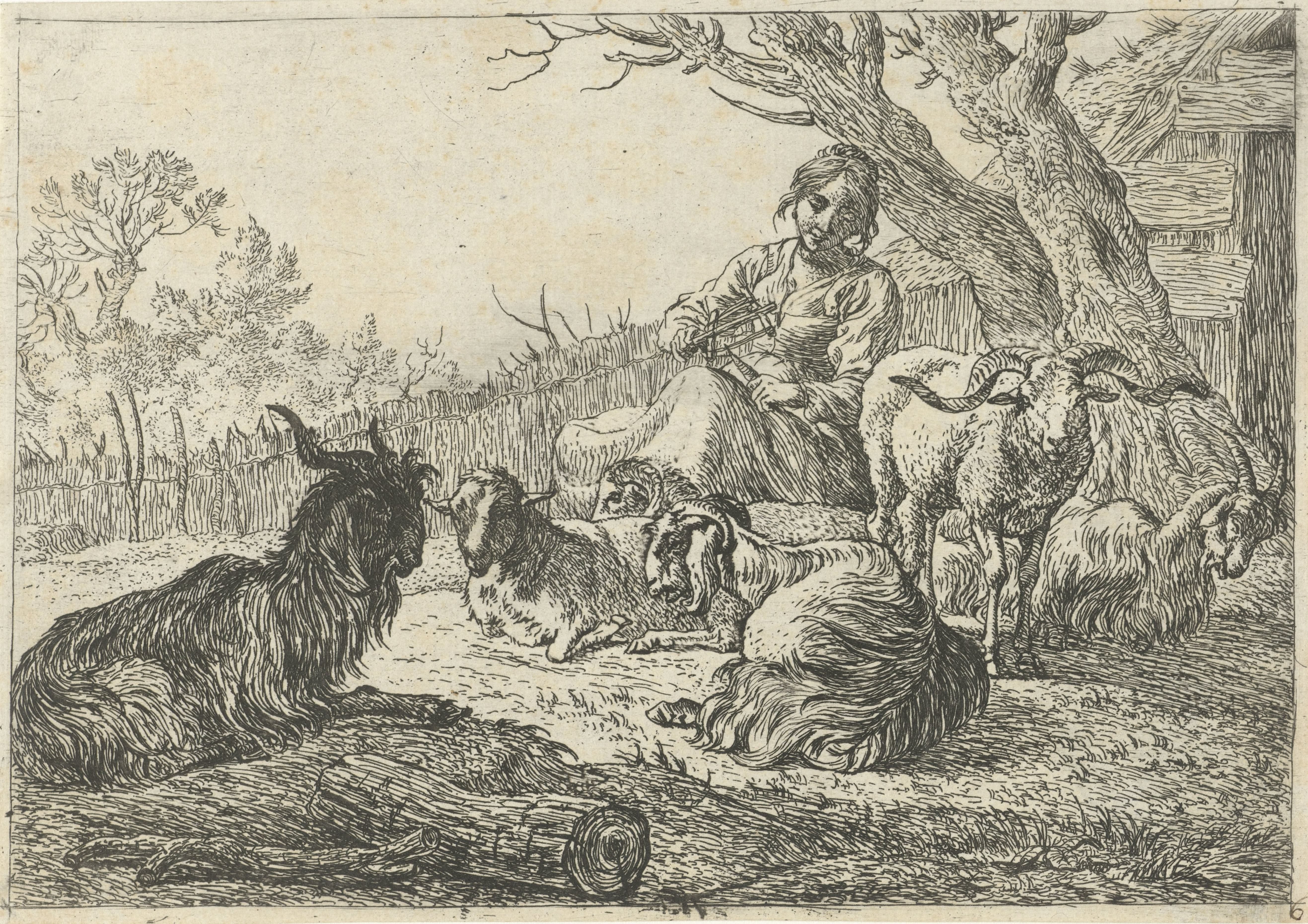Herderin te midden van geiten en schapen