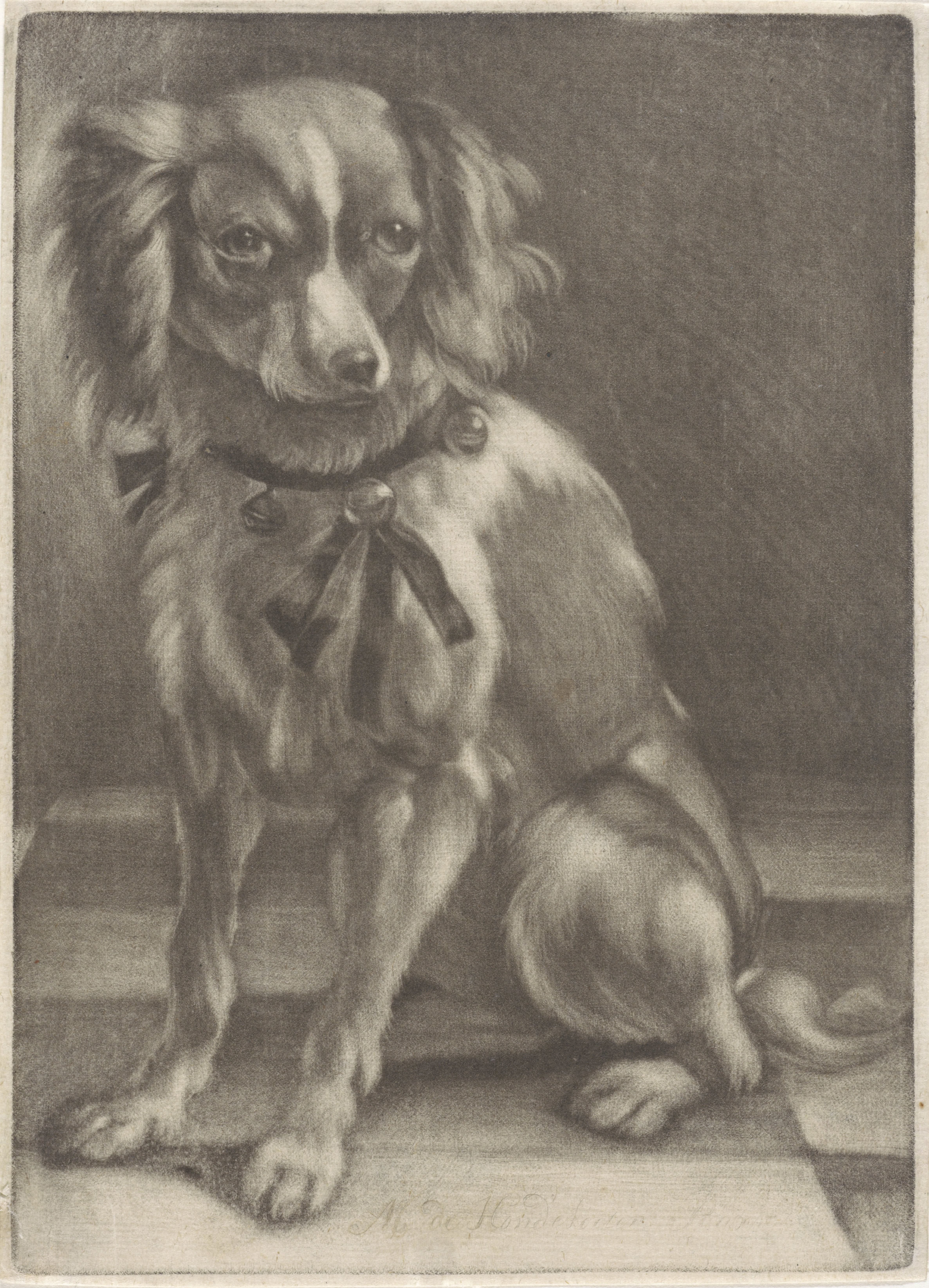 Zittende hond