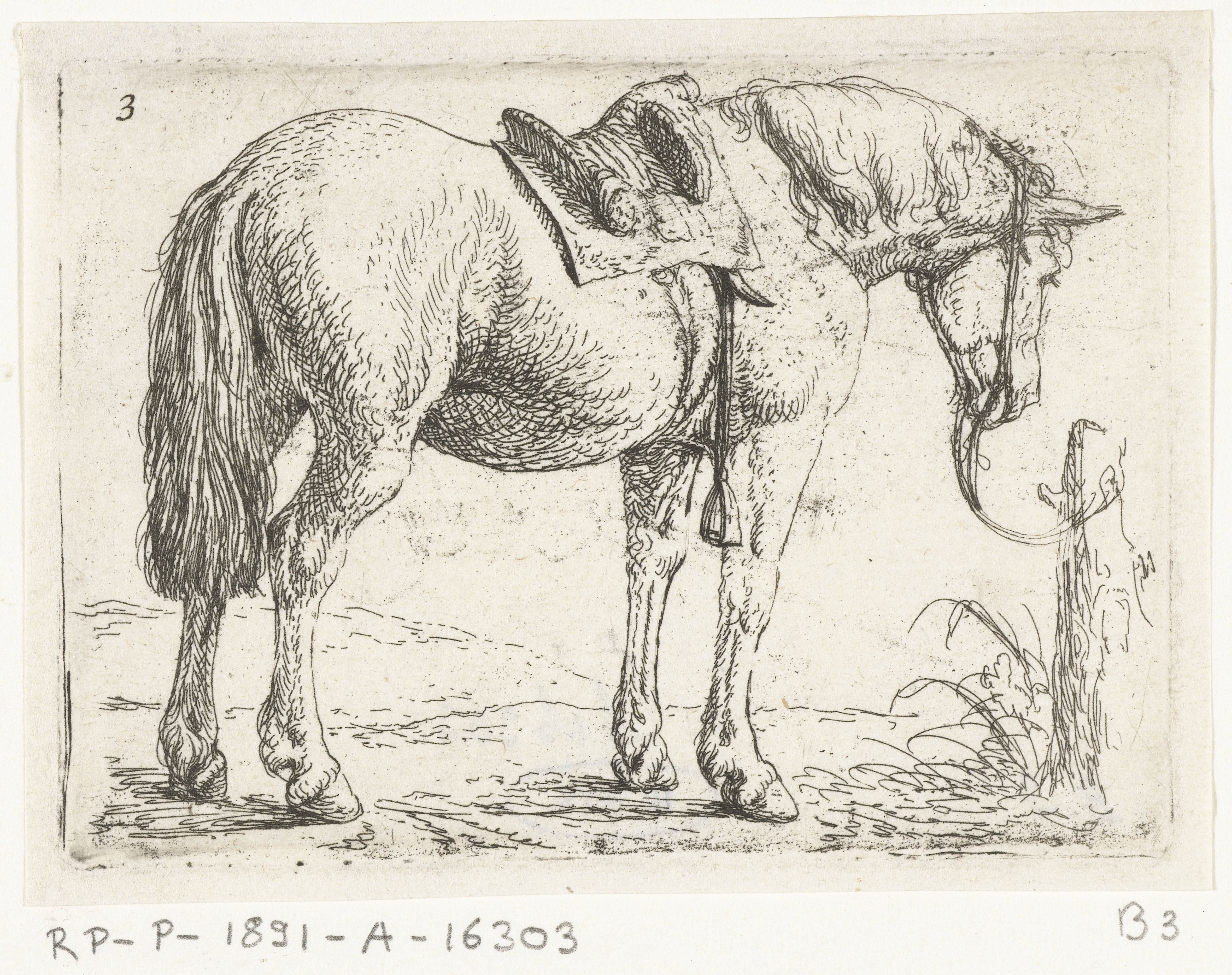 Paard met zadel