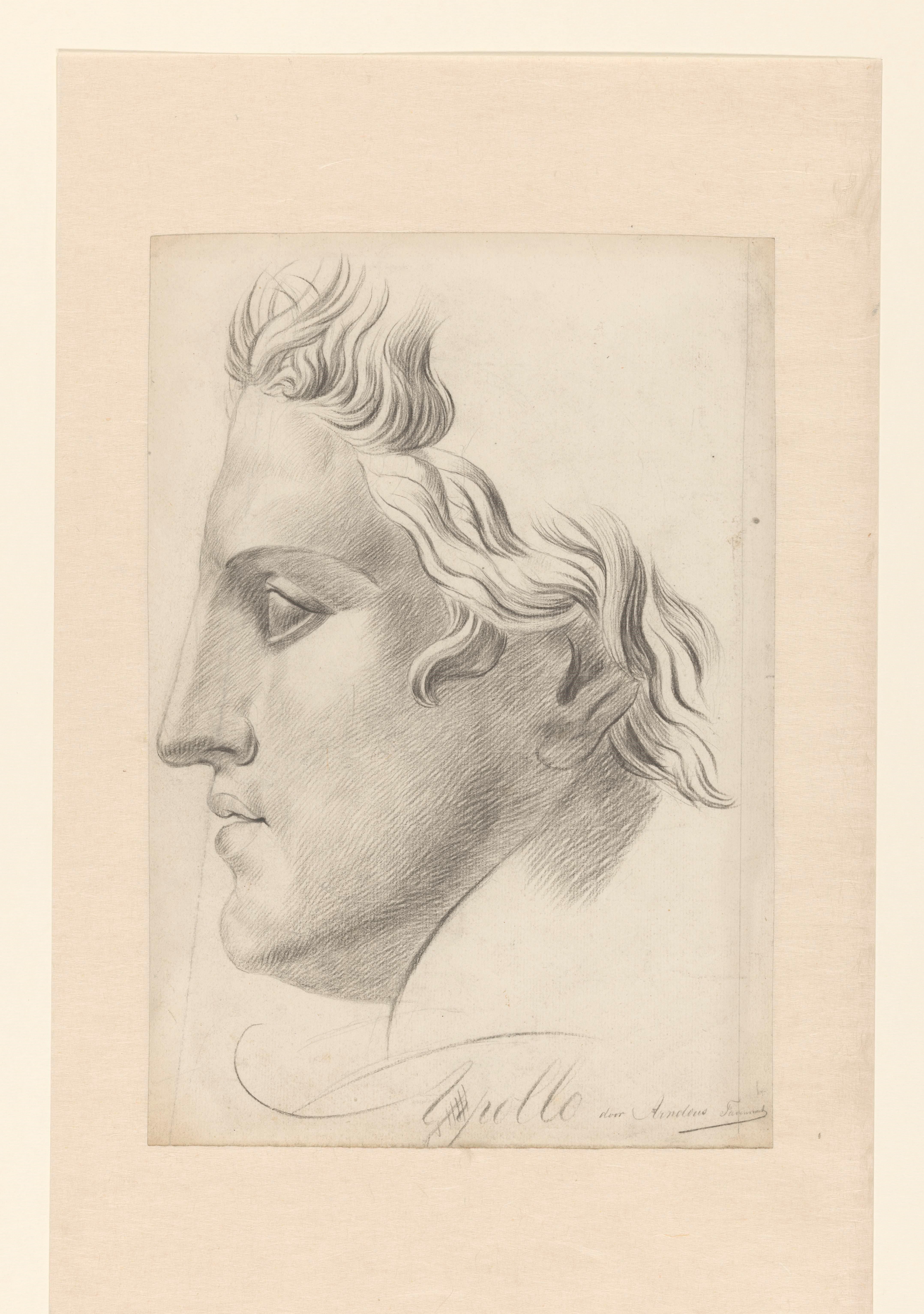 Academiestudie: Apollo