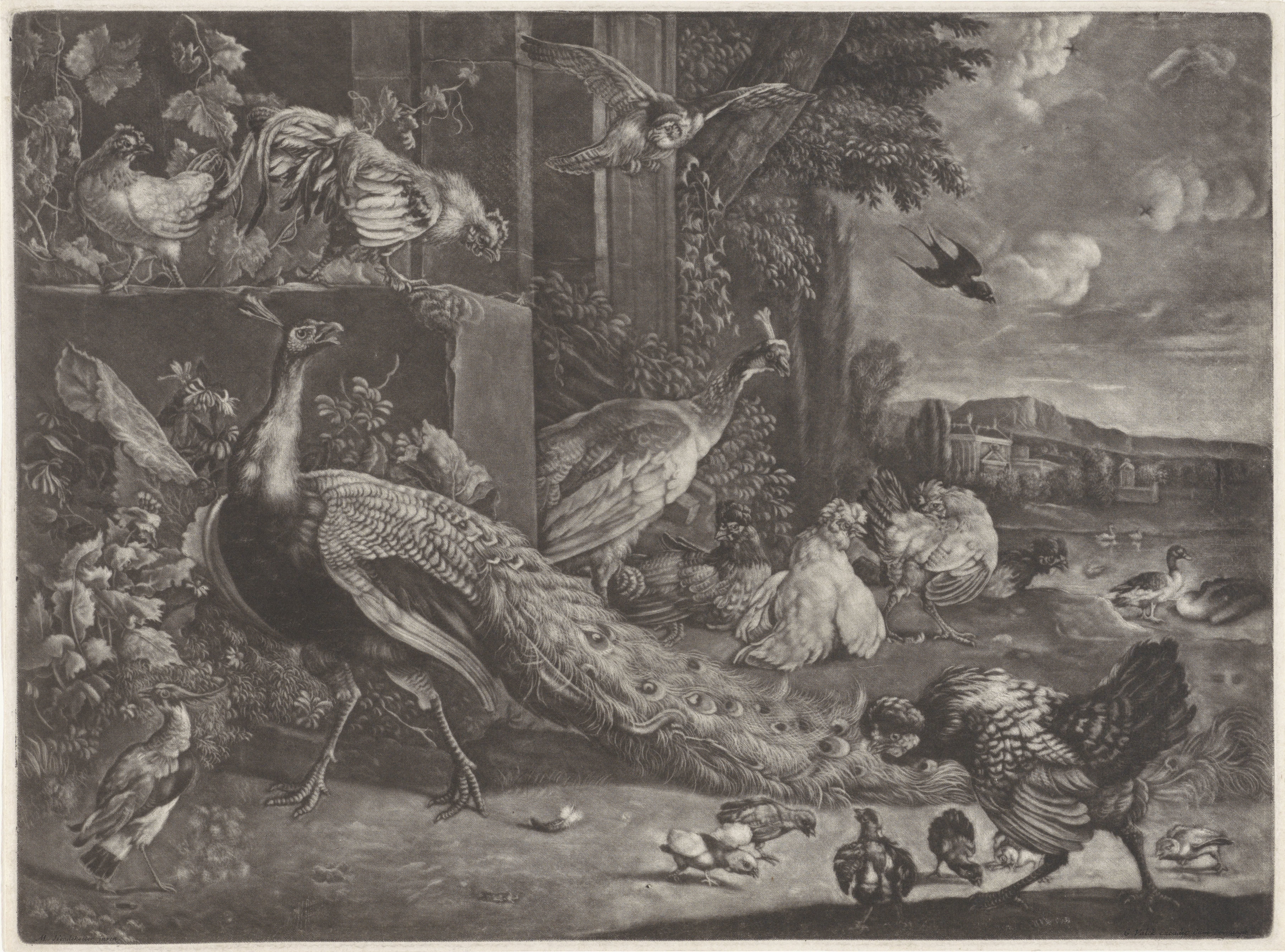 Landschap met gevogelte