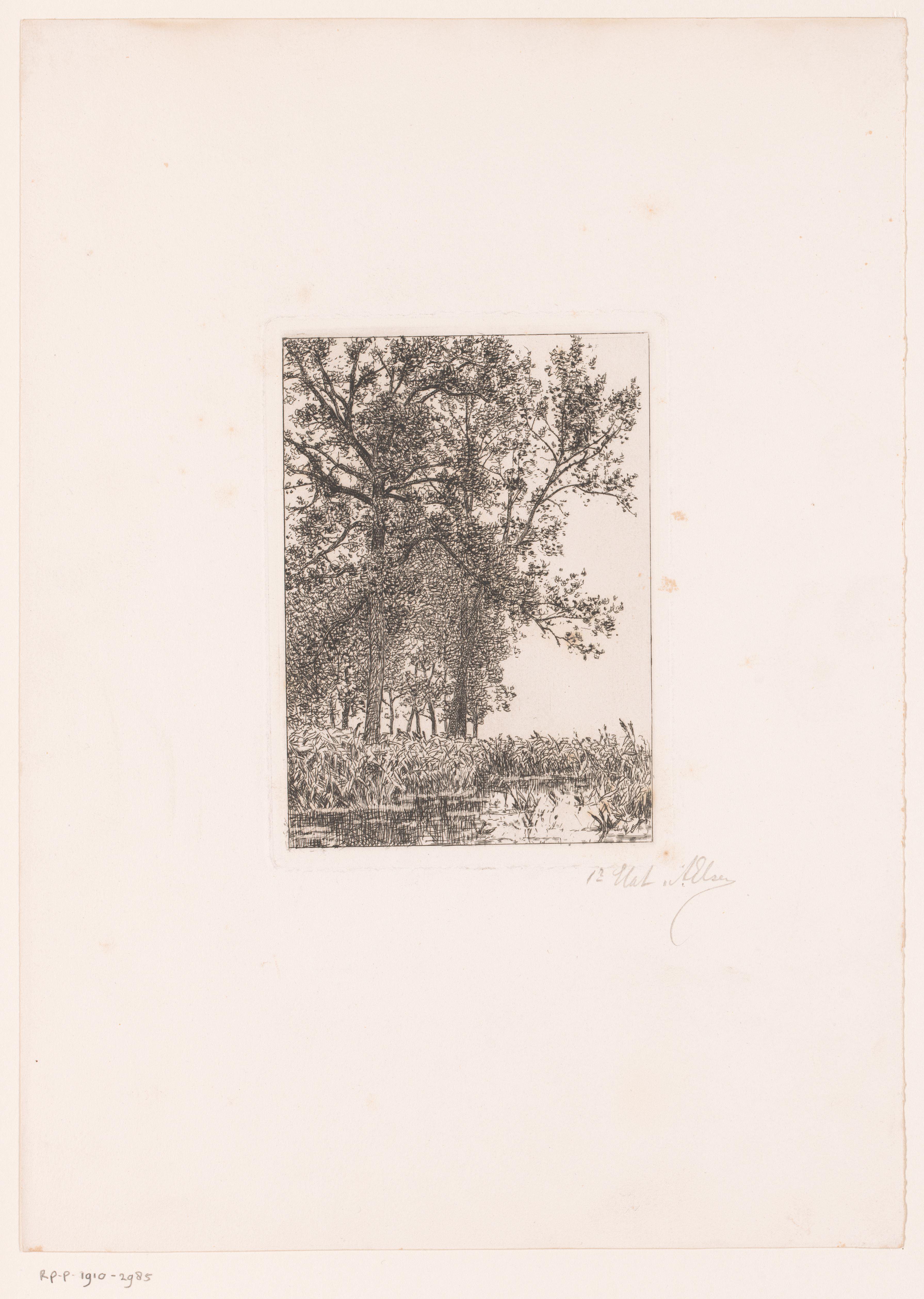 Landschap met bomen aan het water