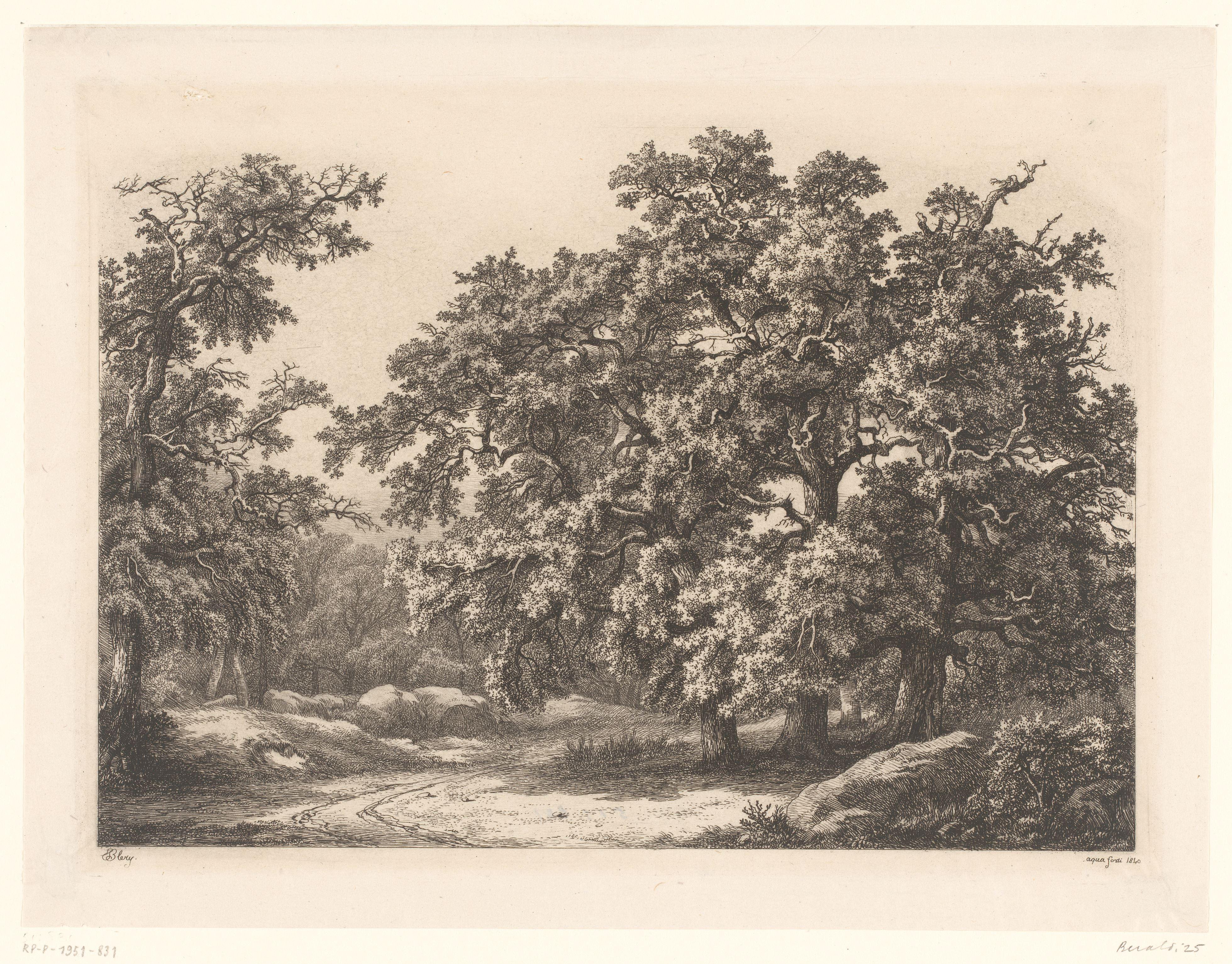 Boslandschap