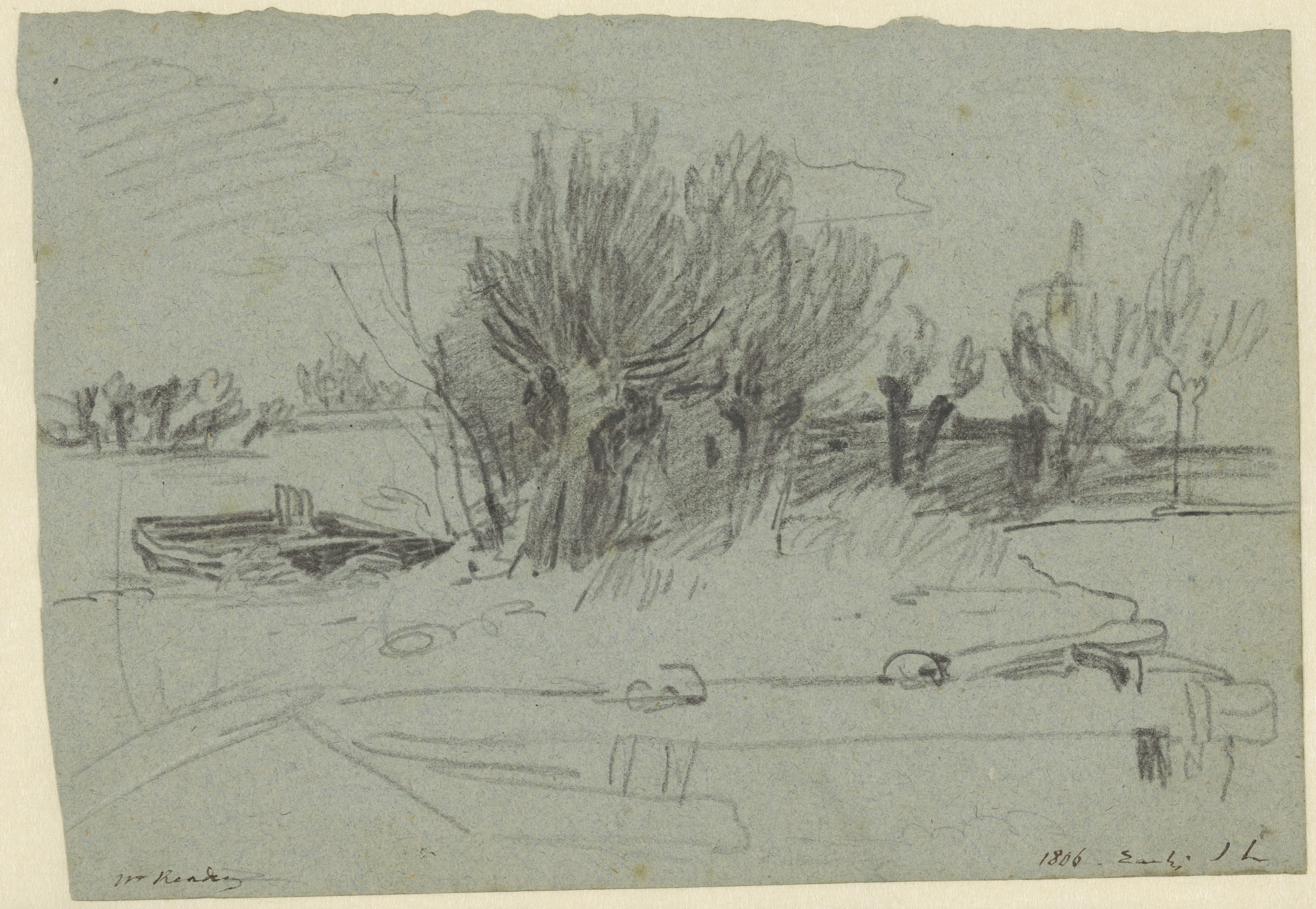 Groep wilgen bij een rivier