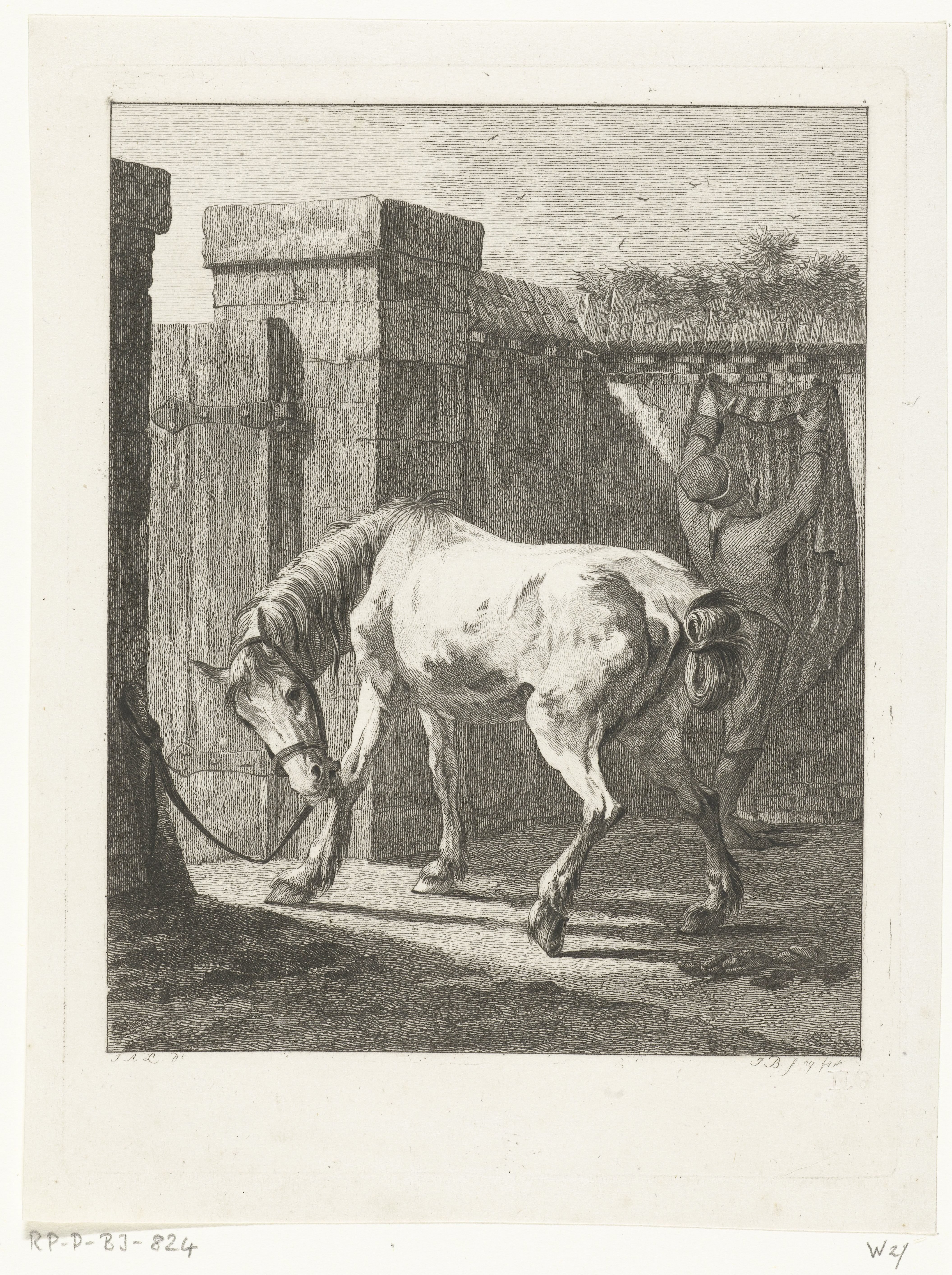 Een paard vastgebonden aan een paal