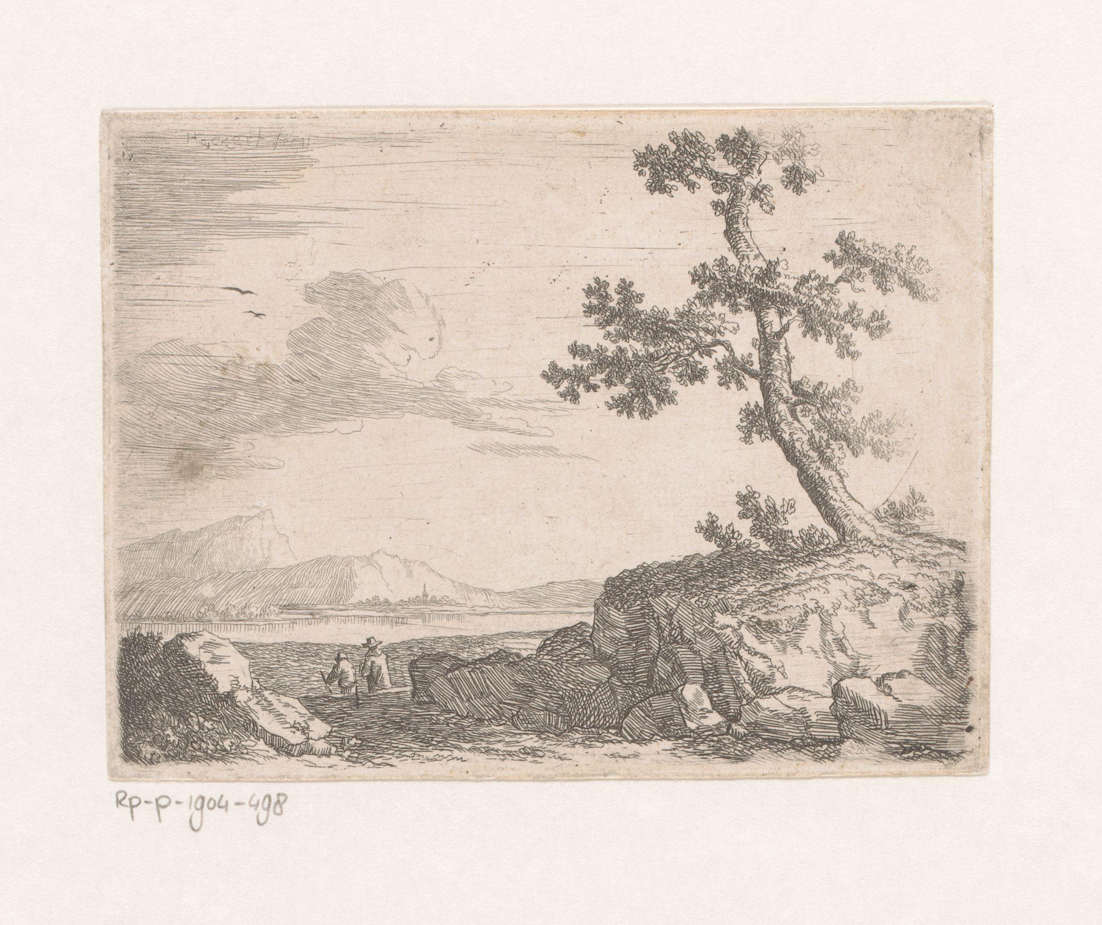 Kustlandschap met boom
