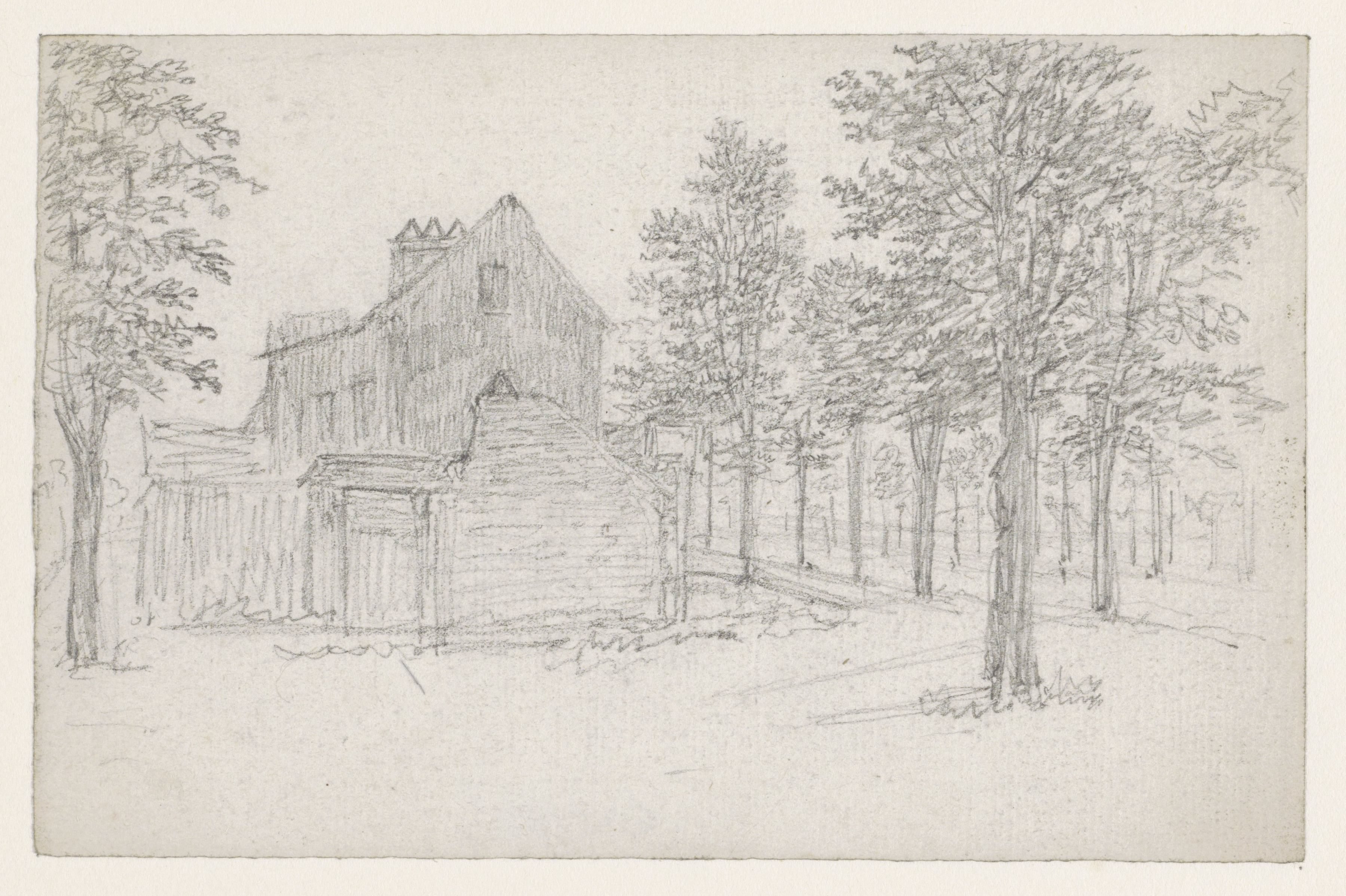 Weg met bomen, waaraan links huizen