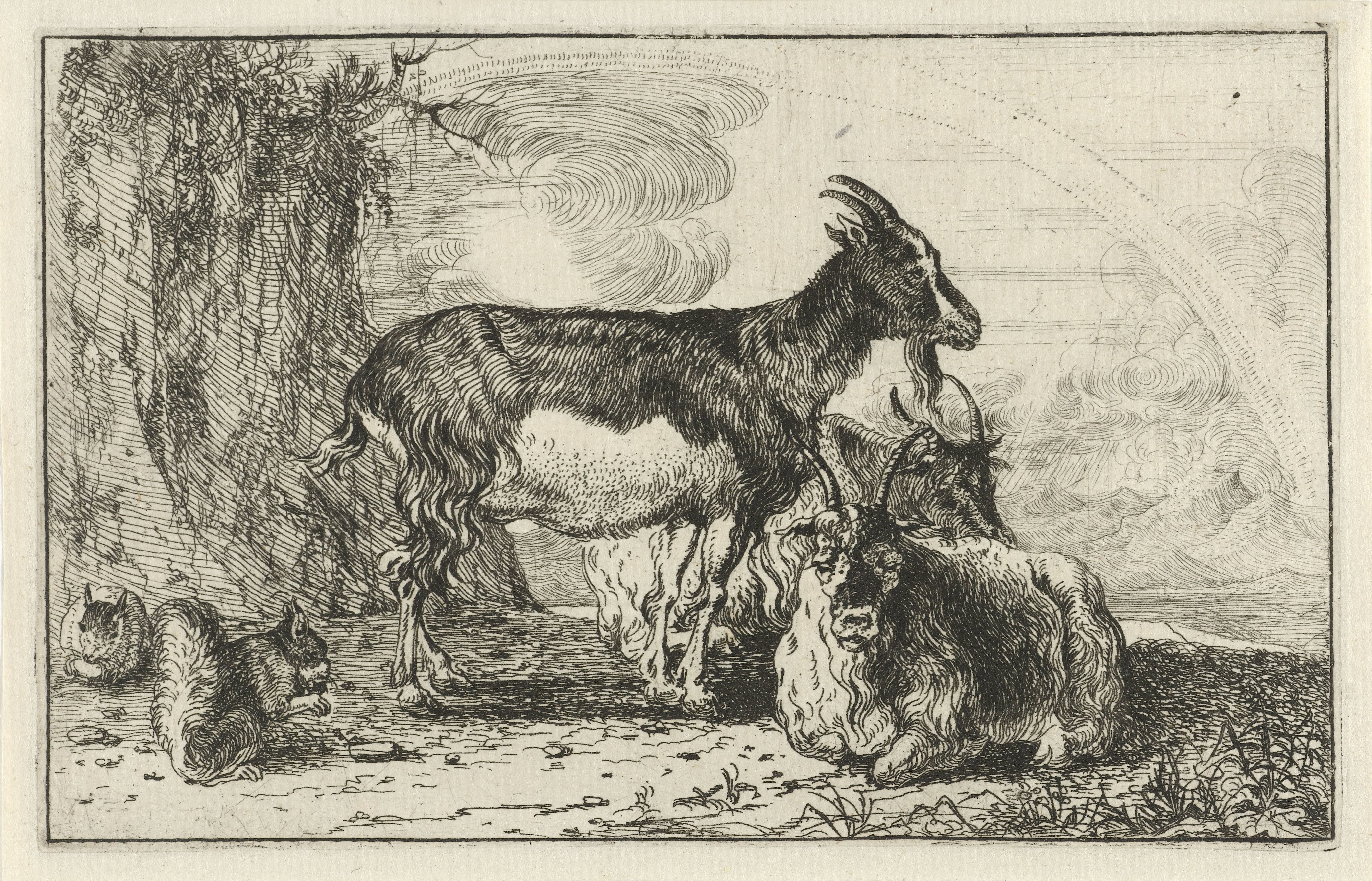 Geiten