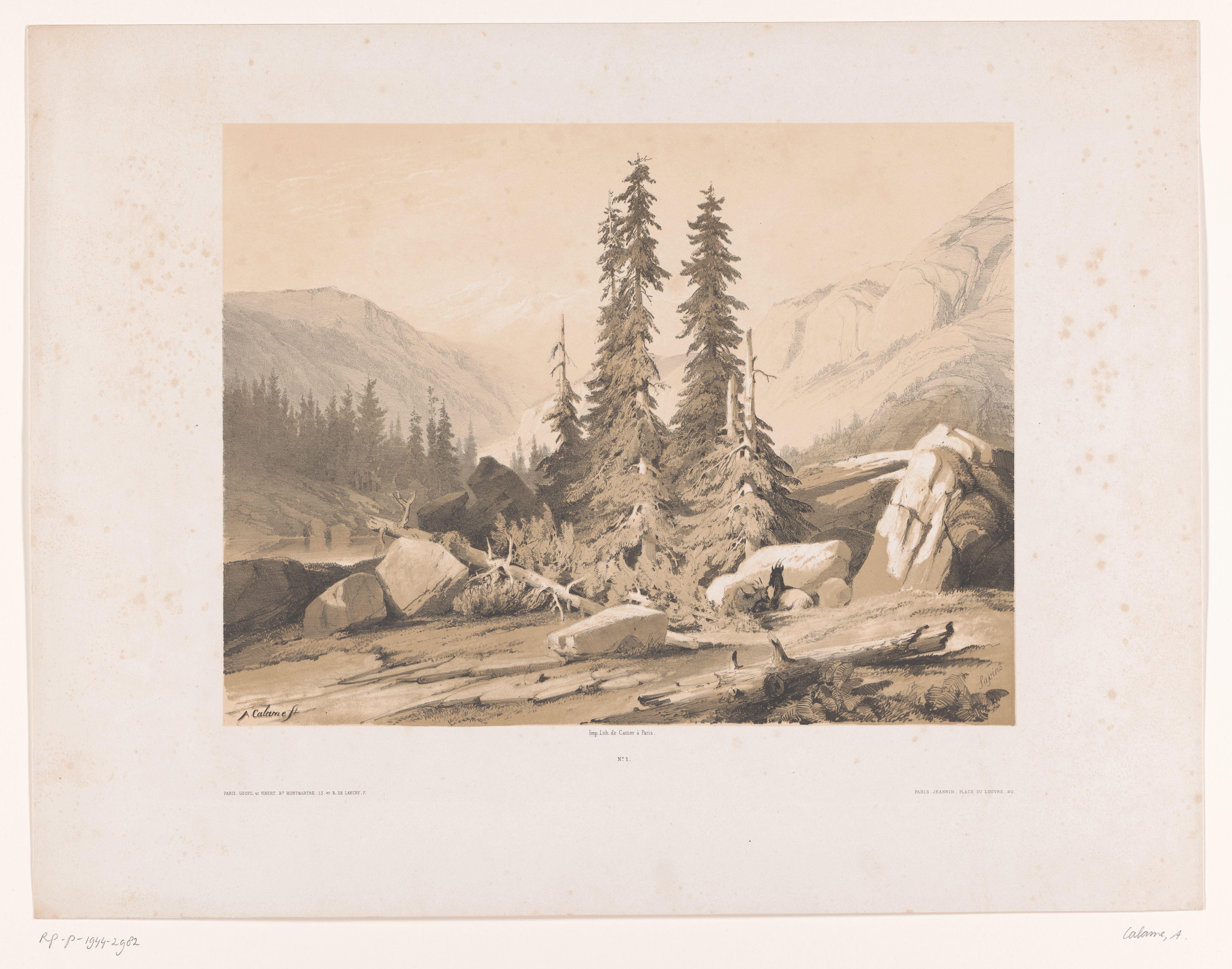 Berglandschap met sparren en berggeiten