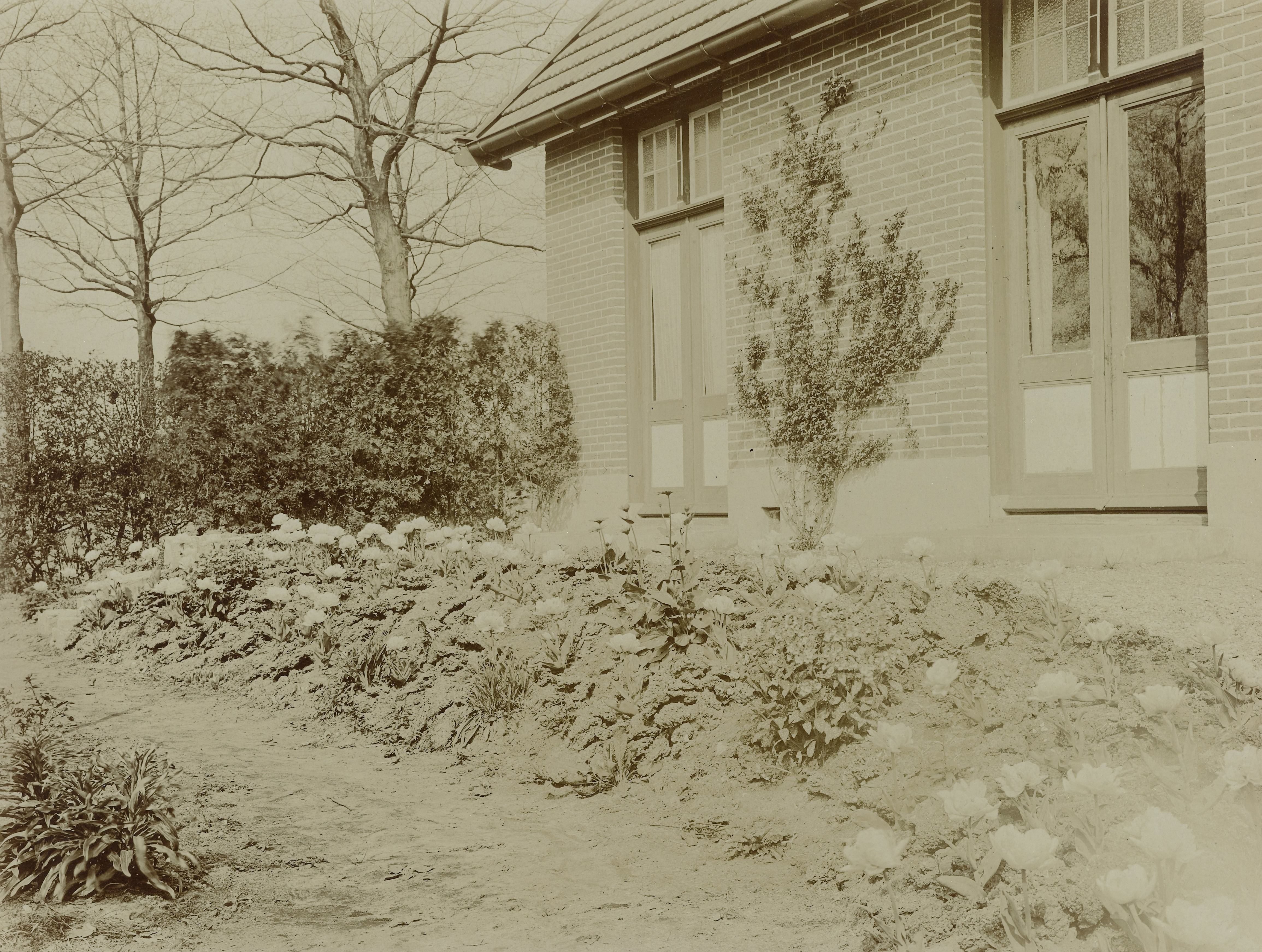 Rotsgroep met tulpen rond een woonhuis te Apeldoorn