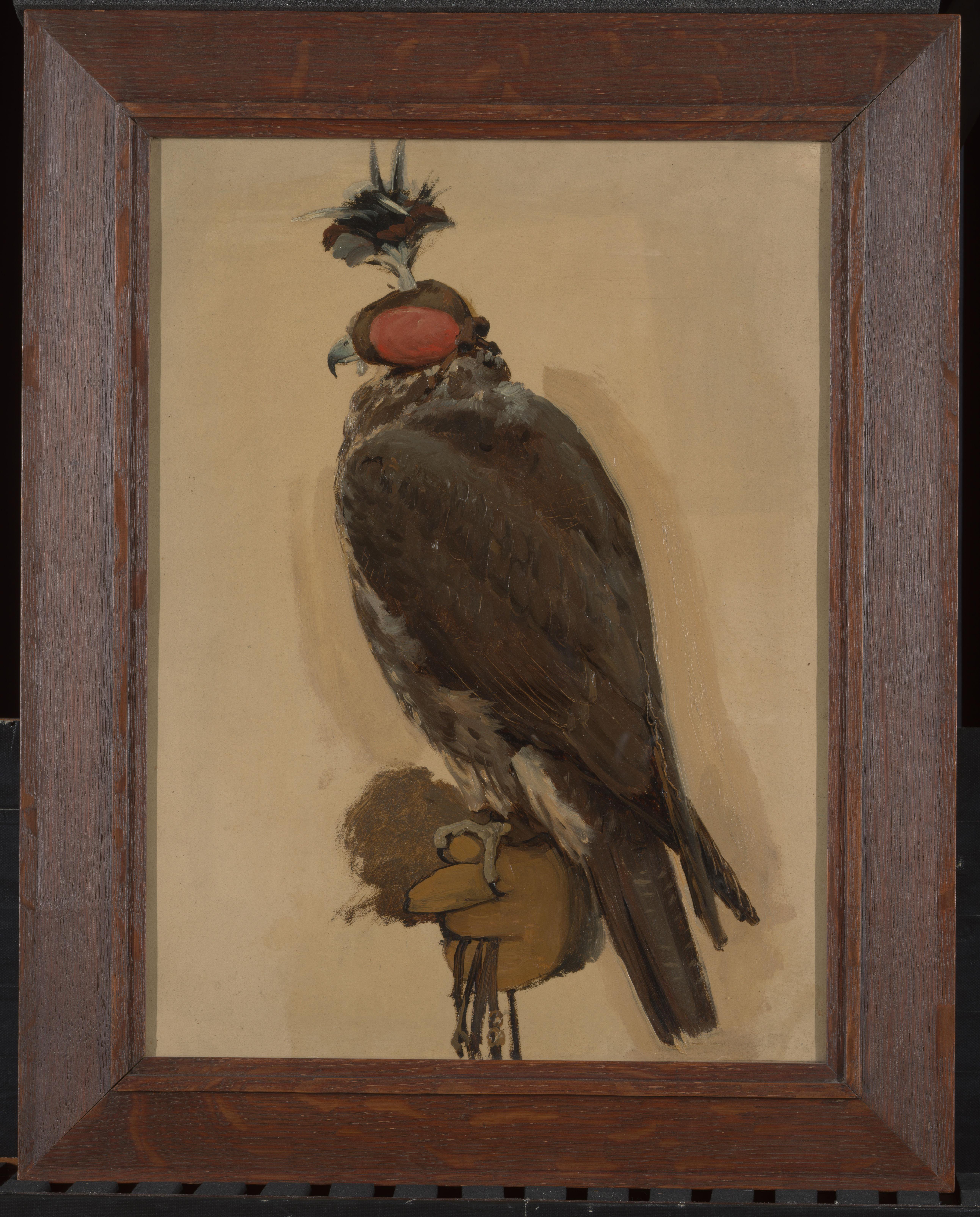Portret van de giervalk Zoë