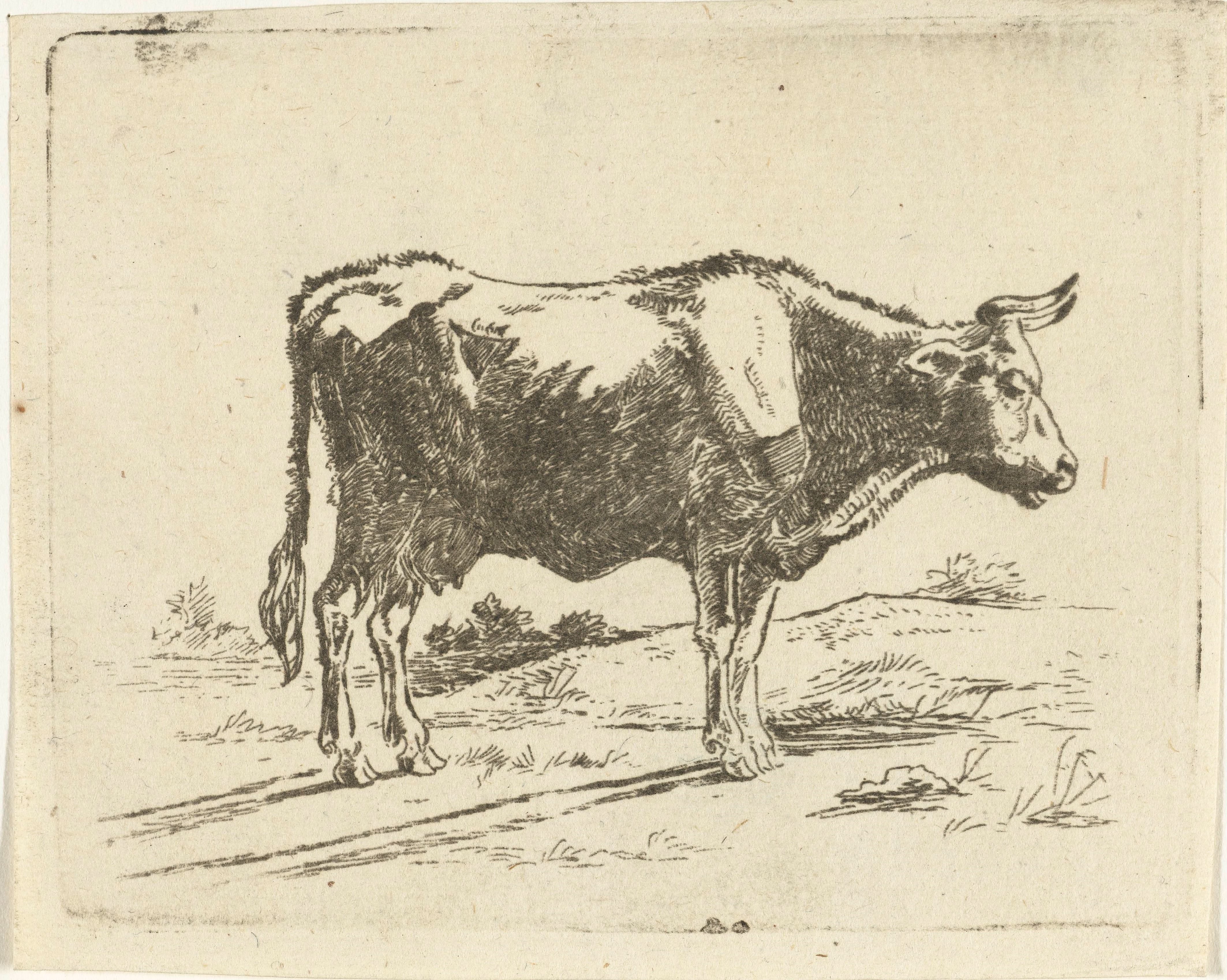 Staande koe