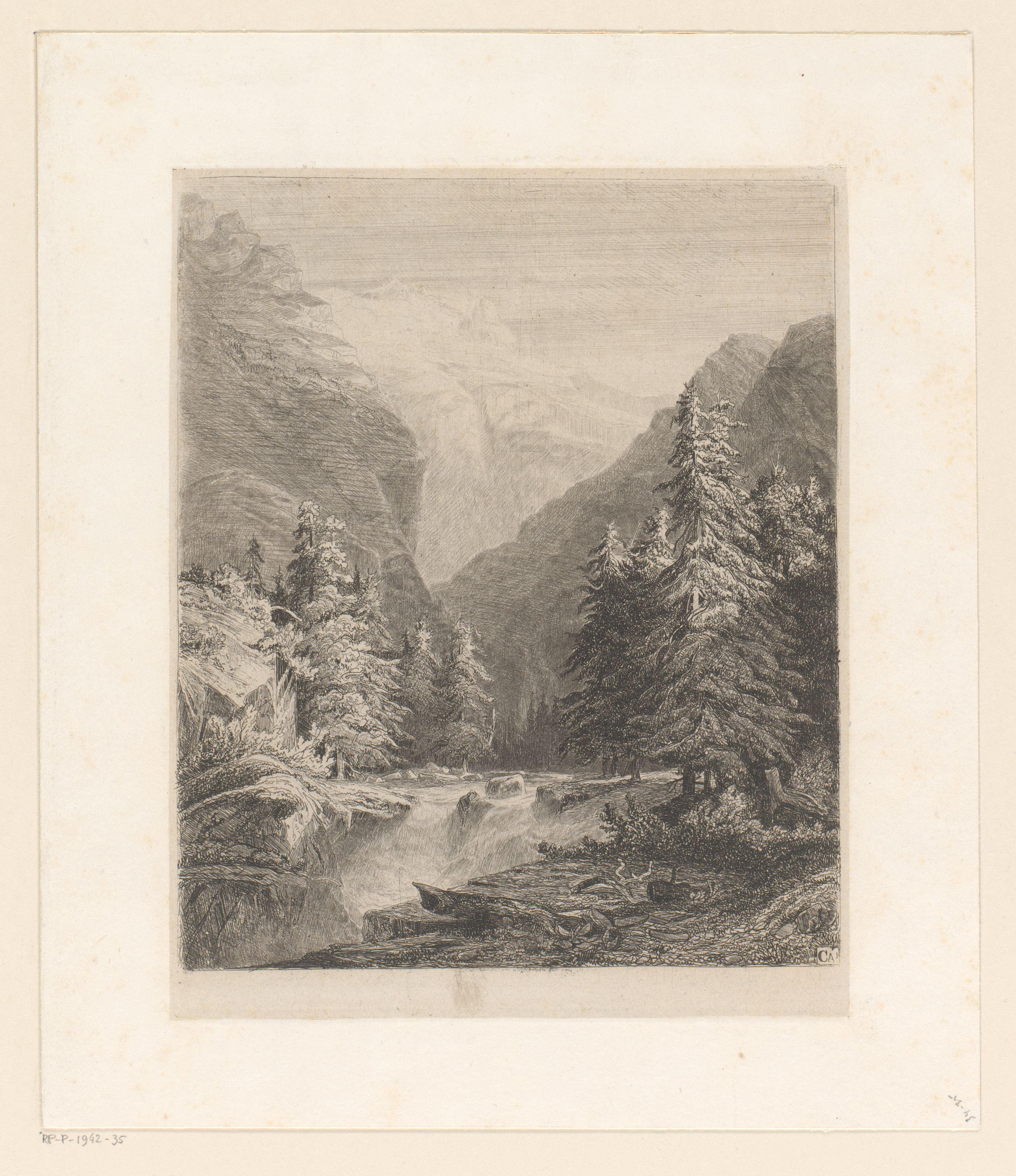 Berglandschap met dennenbomen aan een waterval