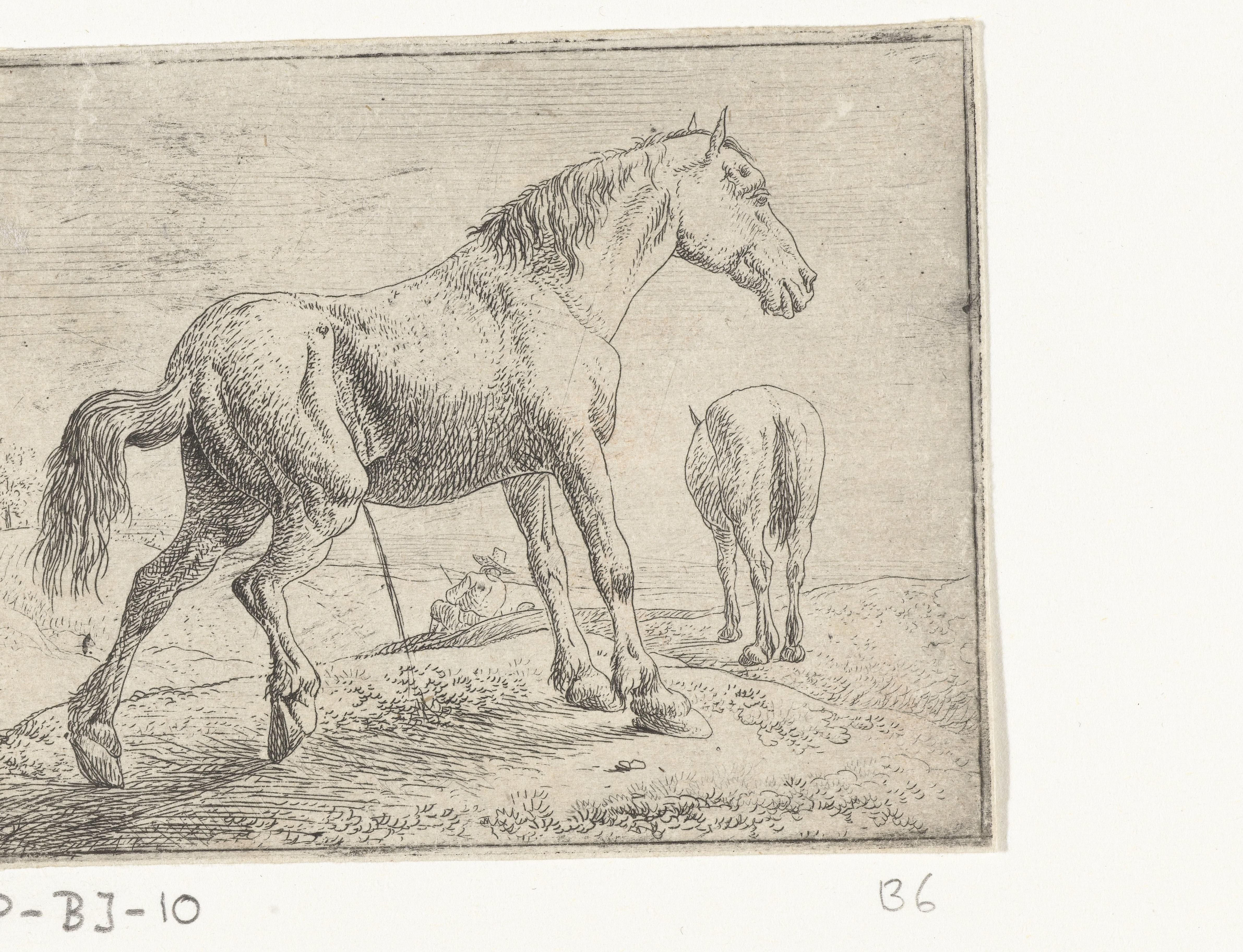 Pissend paard