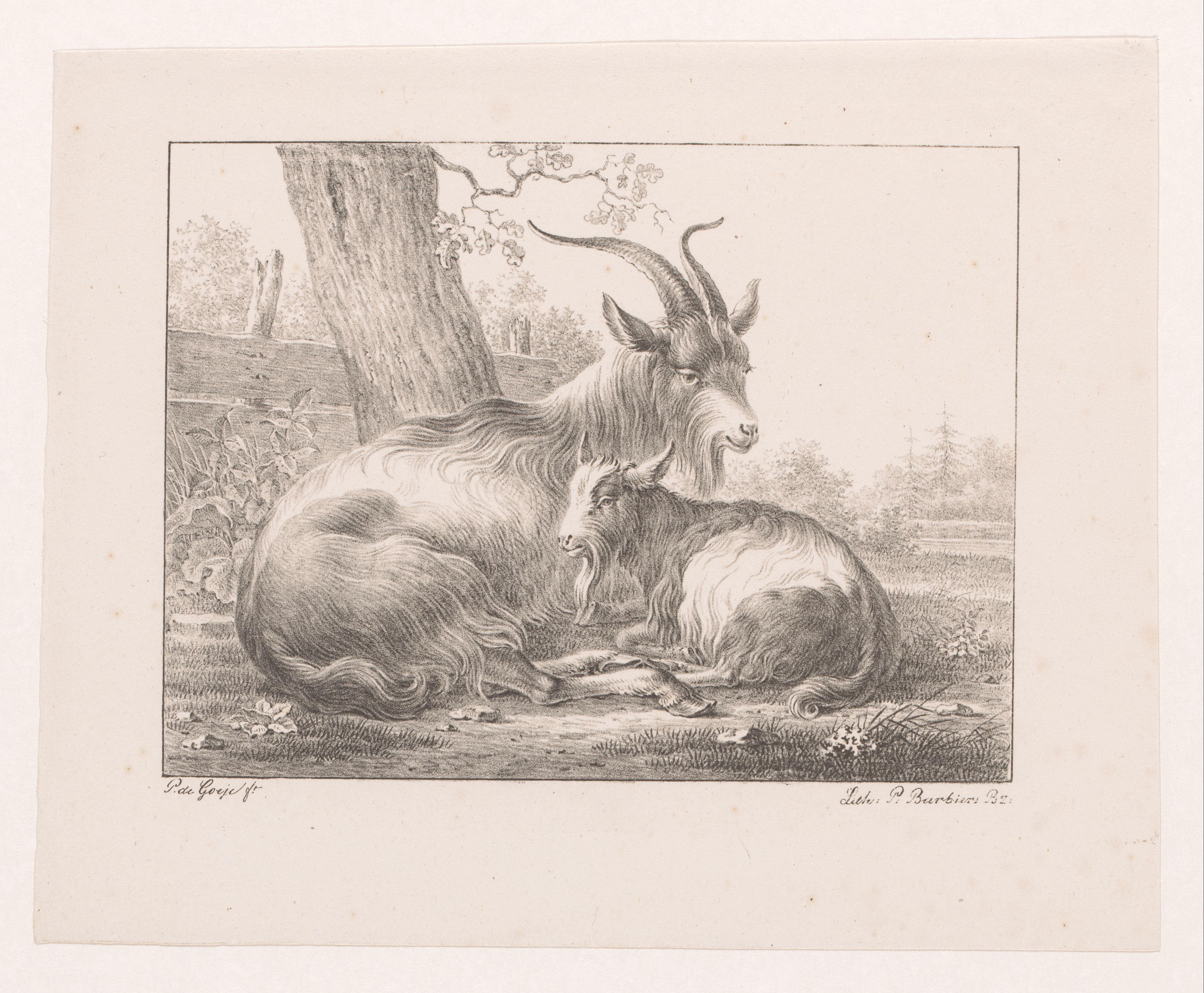 Bok en geit in landschap
