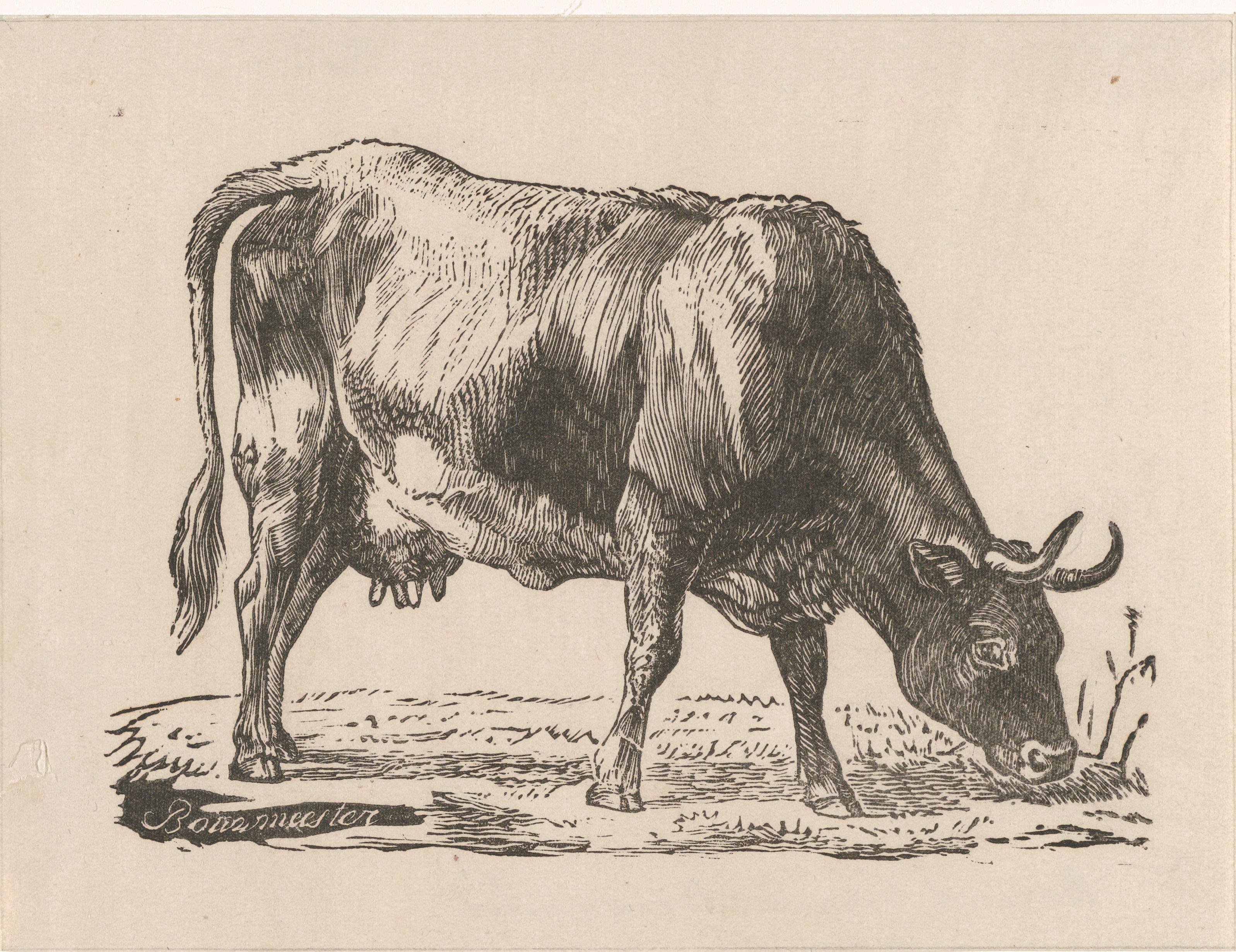 Barend Johannes Bouwmeester