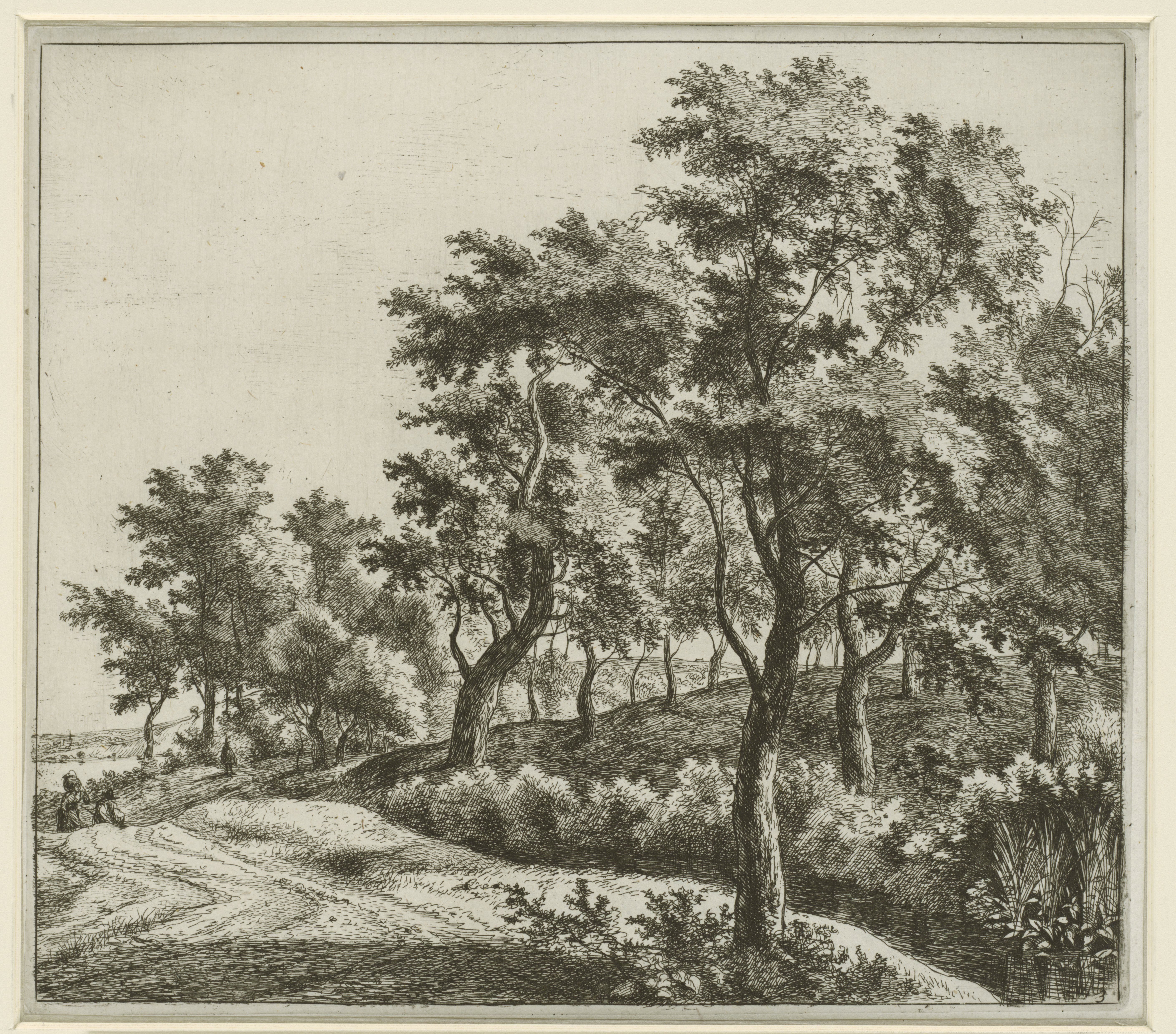 Landschap met weg langs een beek