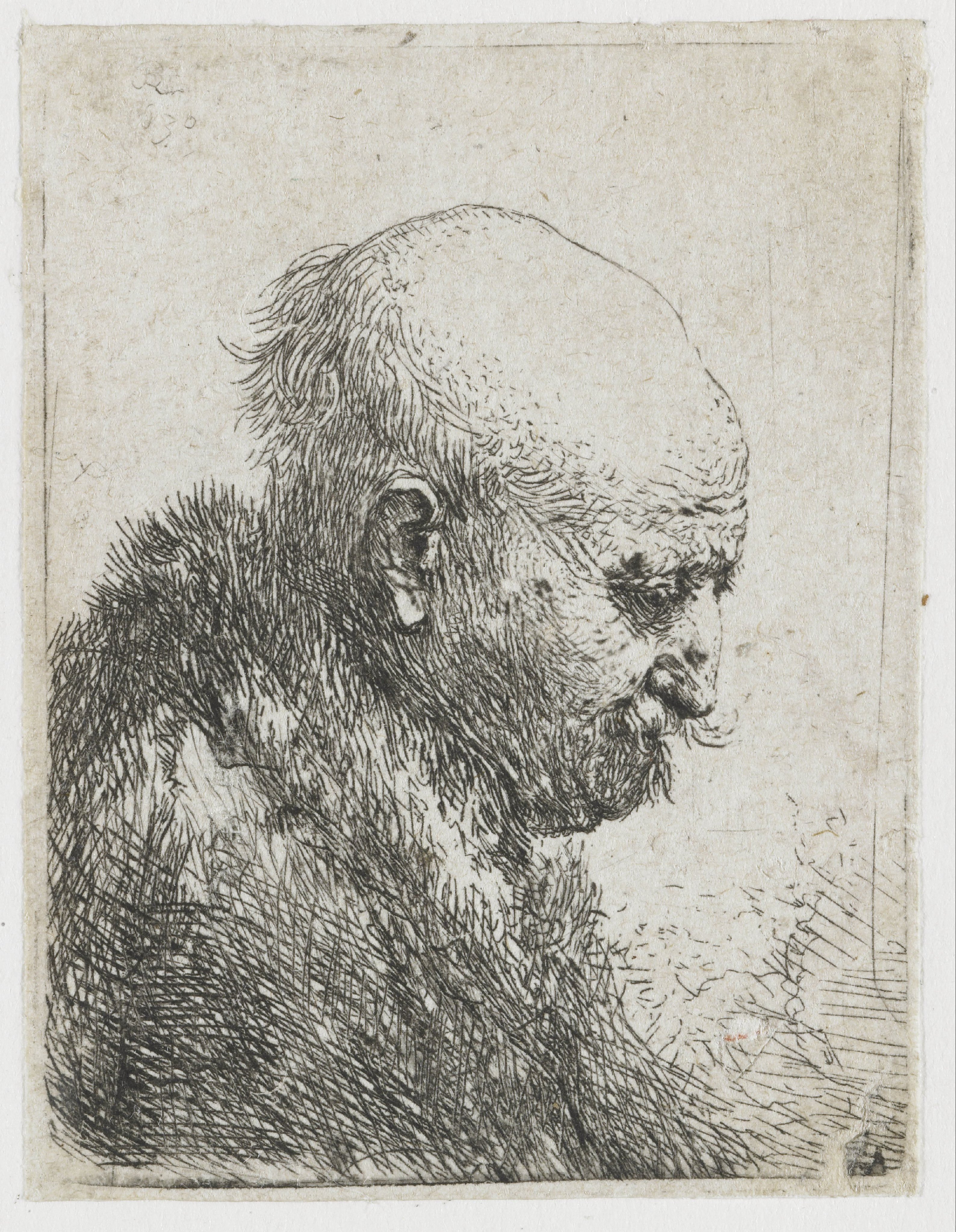 Bald headed man in profile right: small bust, the artist's father (?)