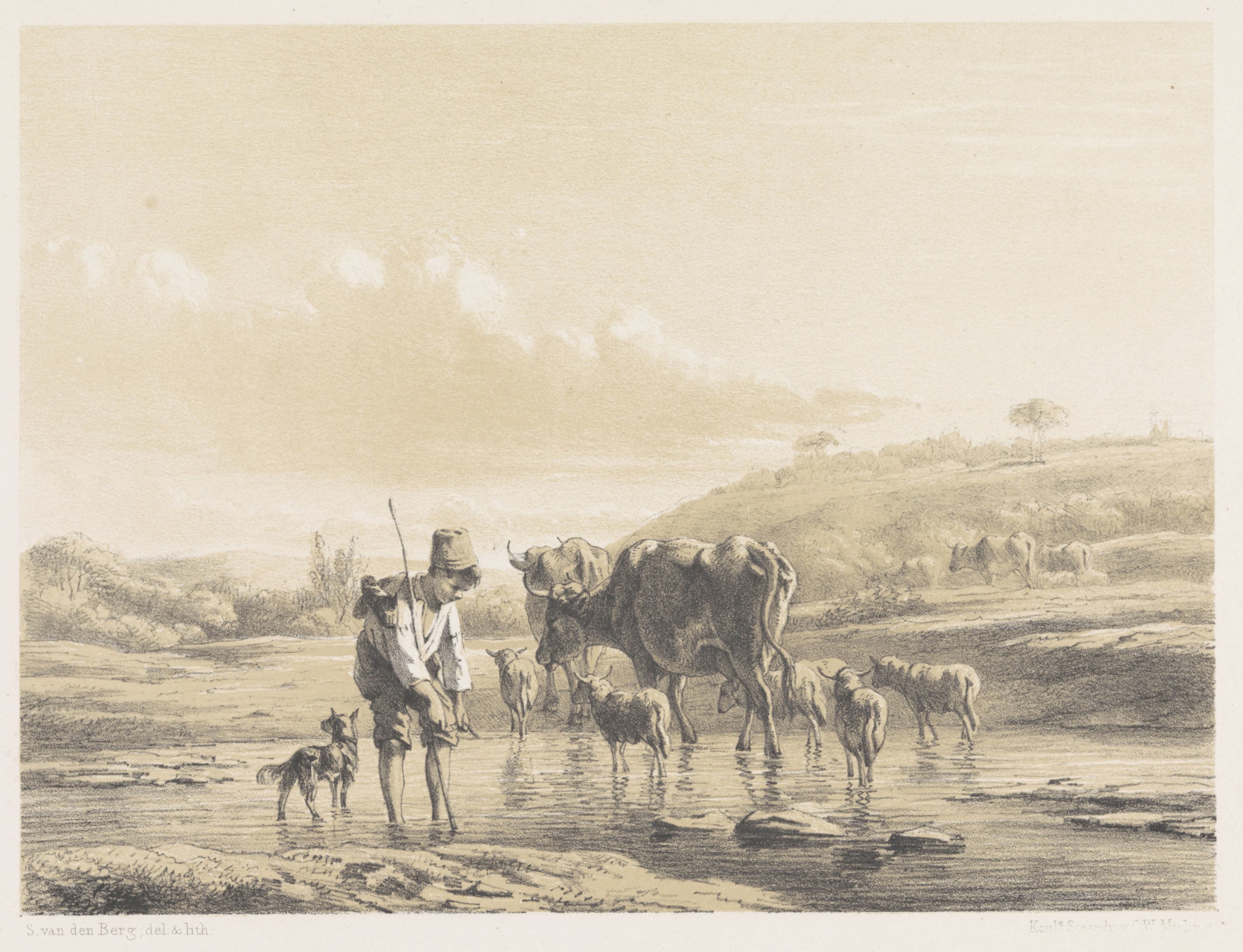 Herdersjongen met kudde in ondiep water