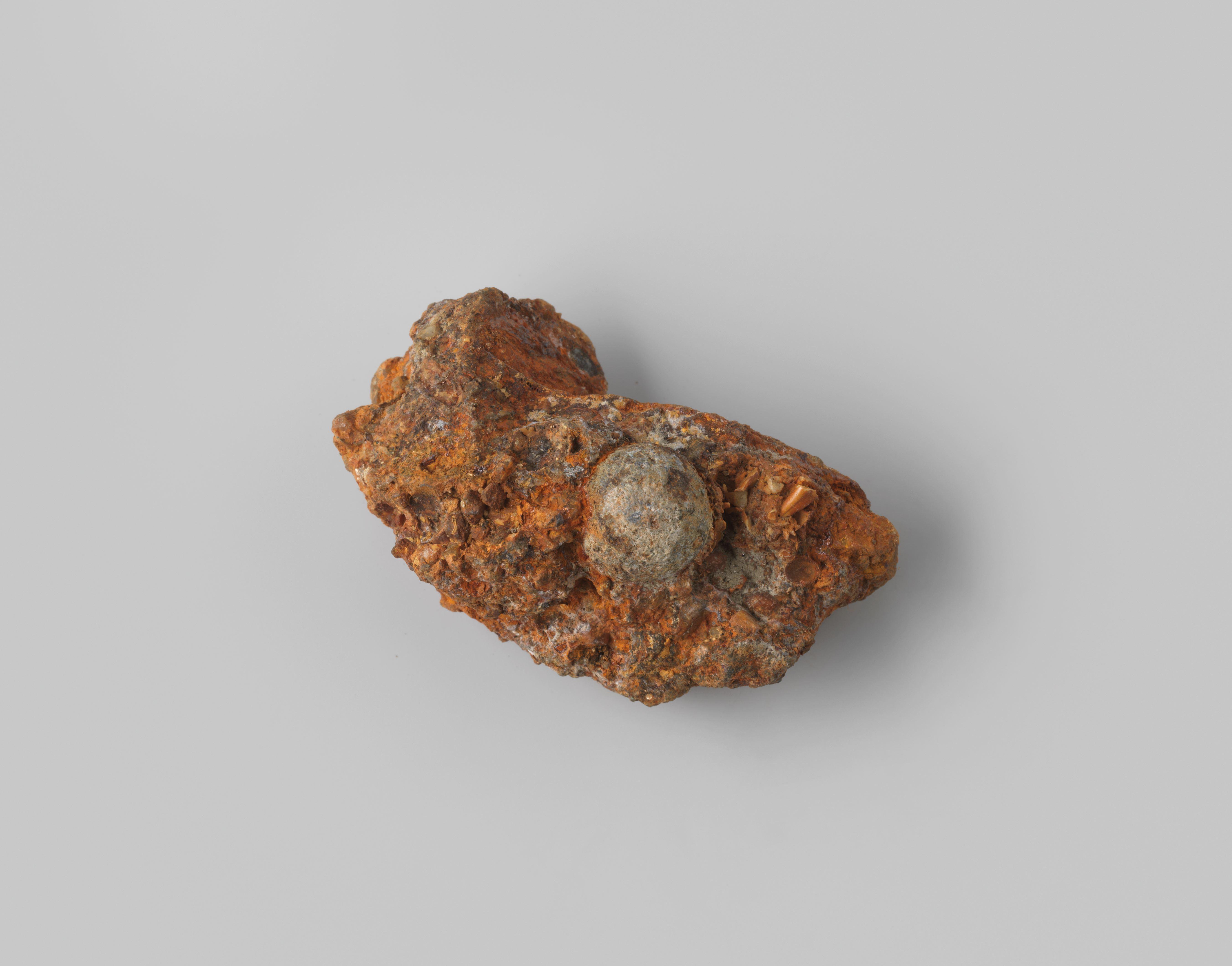 Musketkogel in concretie uit het wrak van de Oost-Indiëvaarder Hollandia