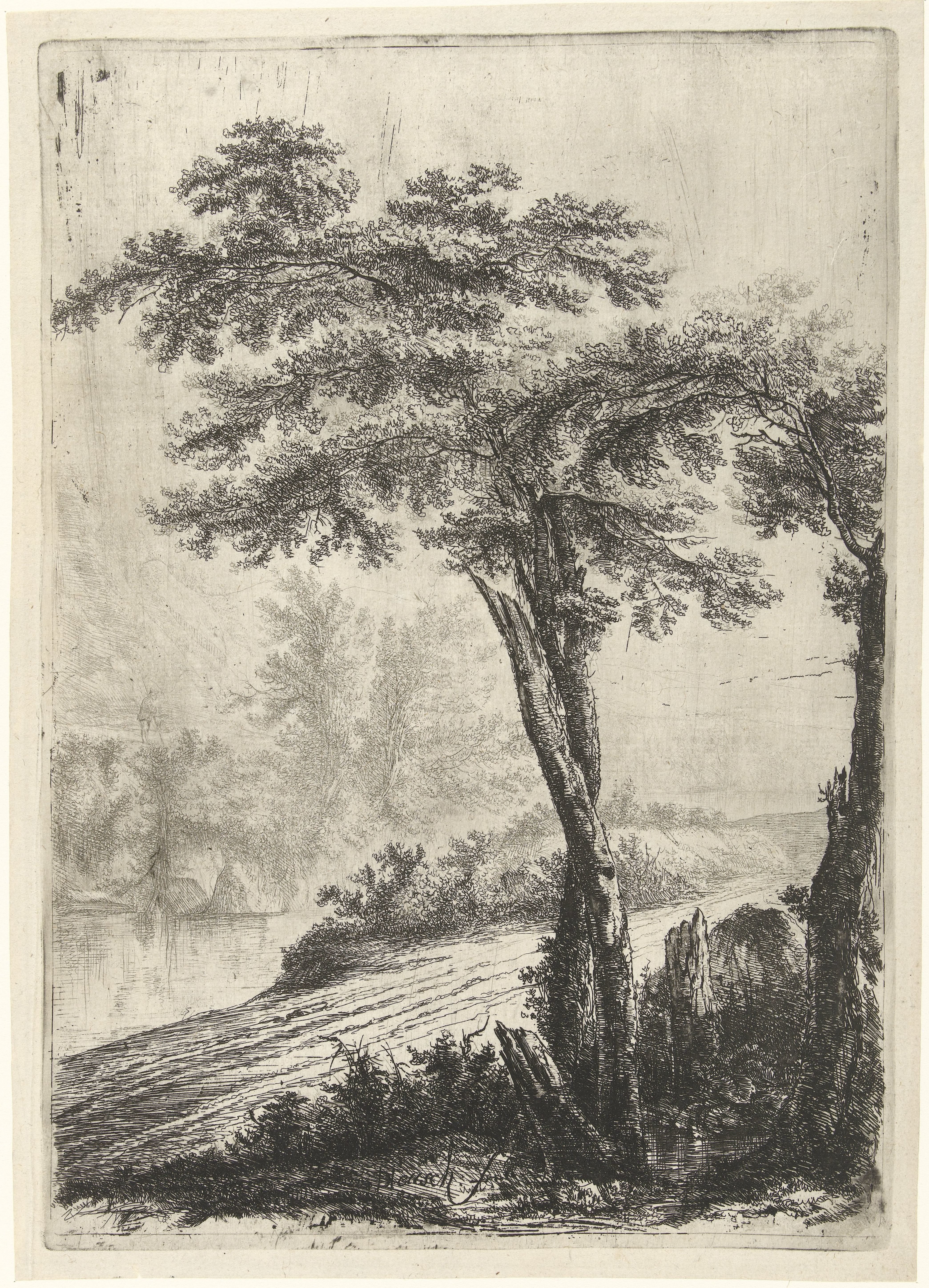 Willem de Heusch
