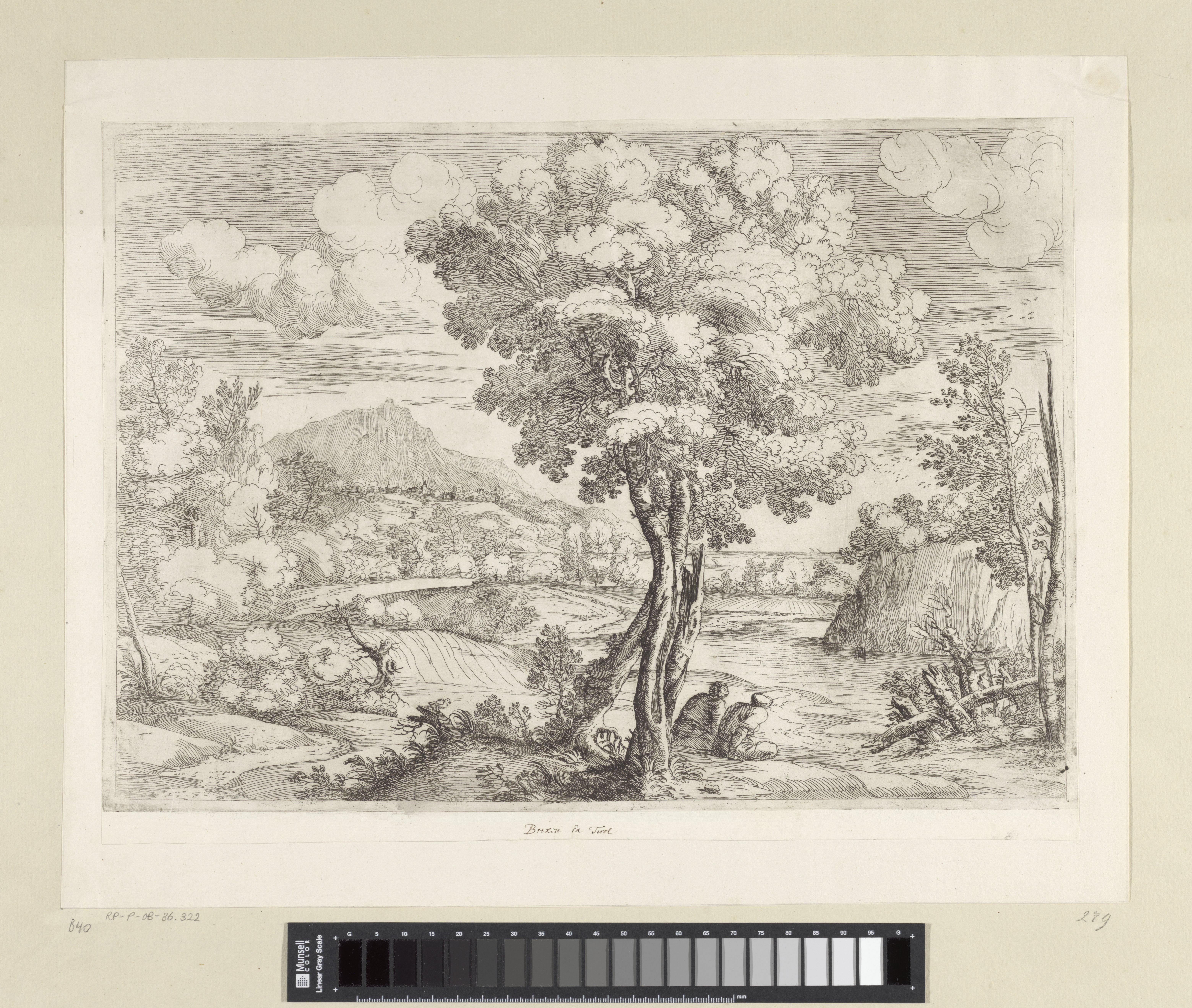 Landschap met vogel op boomstronk