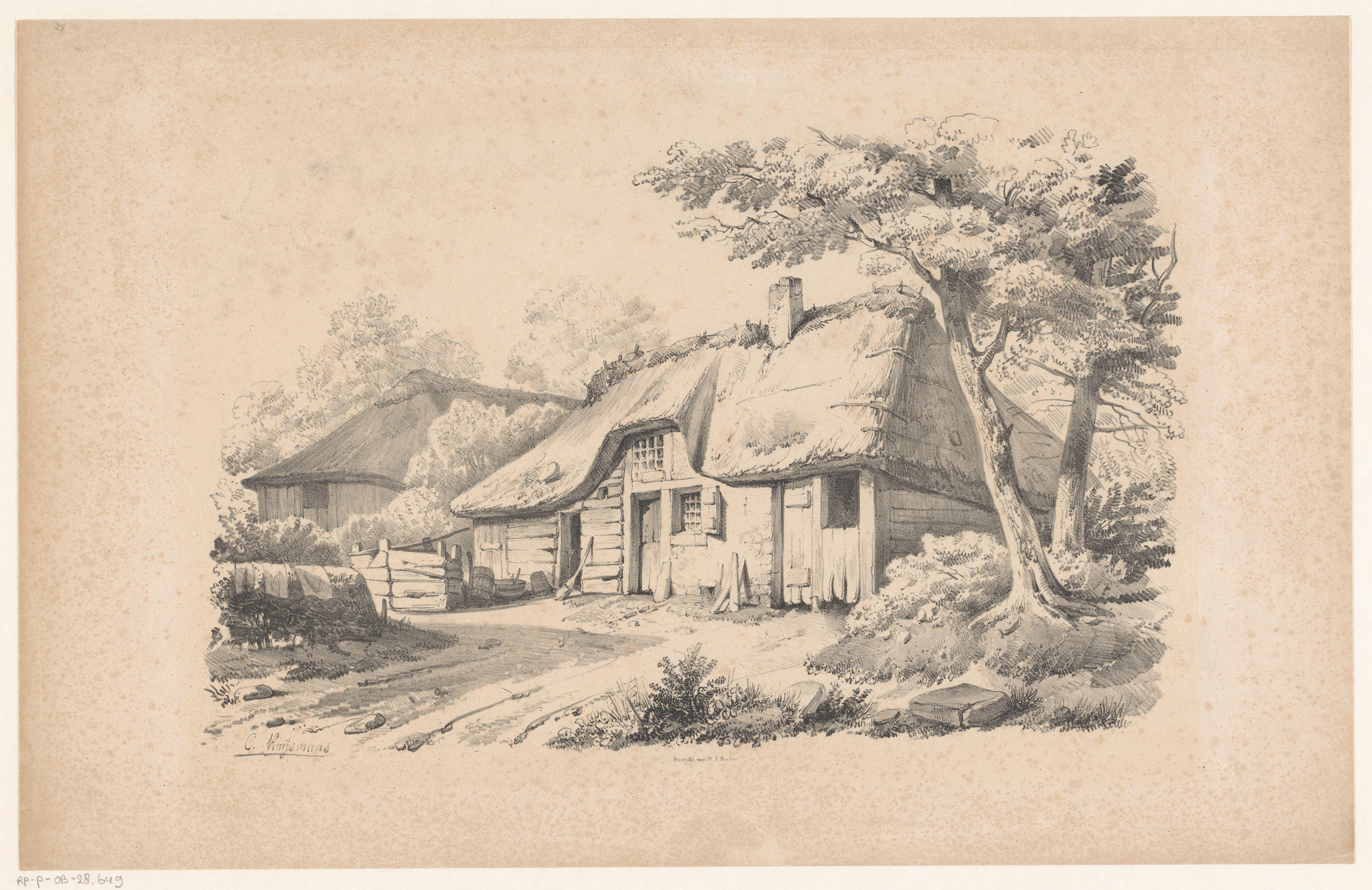 Boerenhoeve met rieten dak