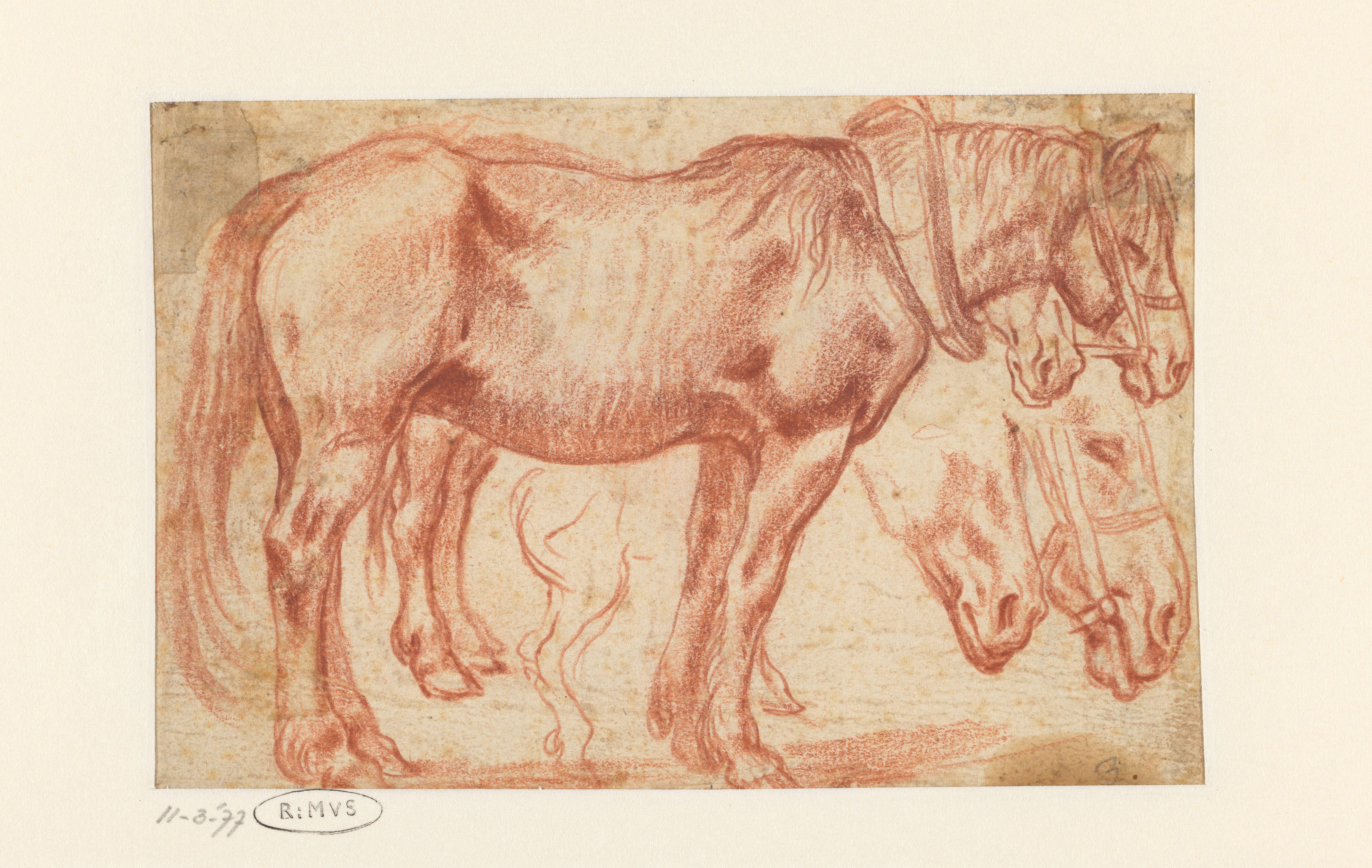 Twee staande paarden, paardenhoofden en achterbenen van een paard