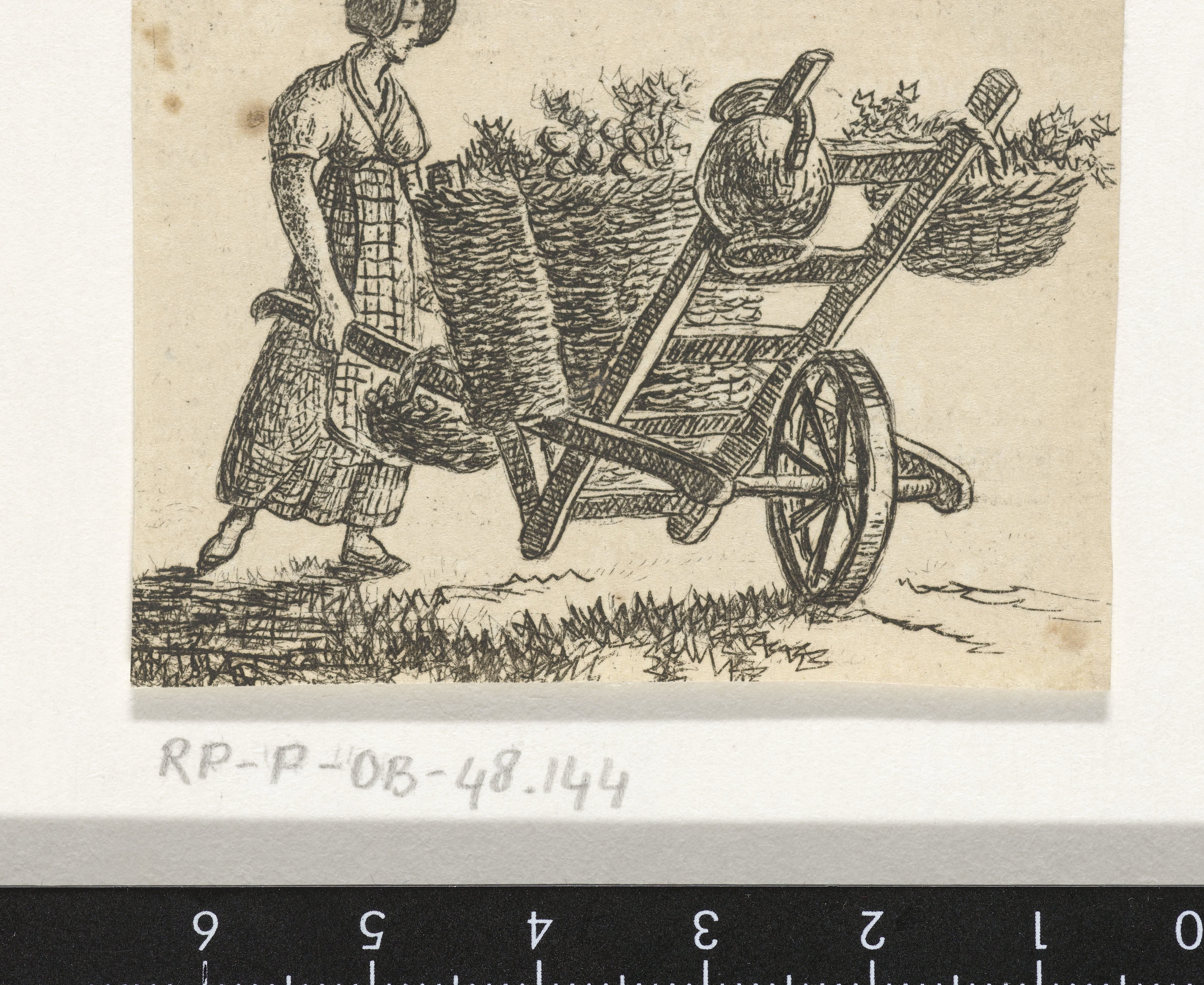 Vrouw met kruiwagen