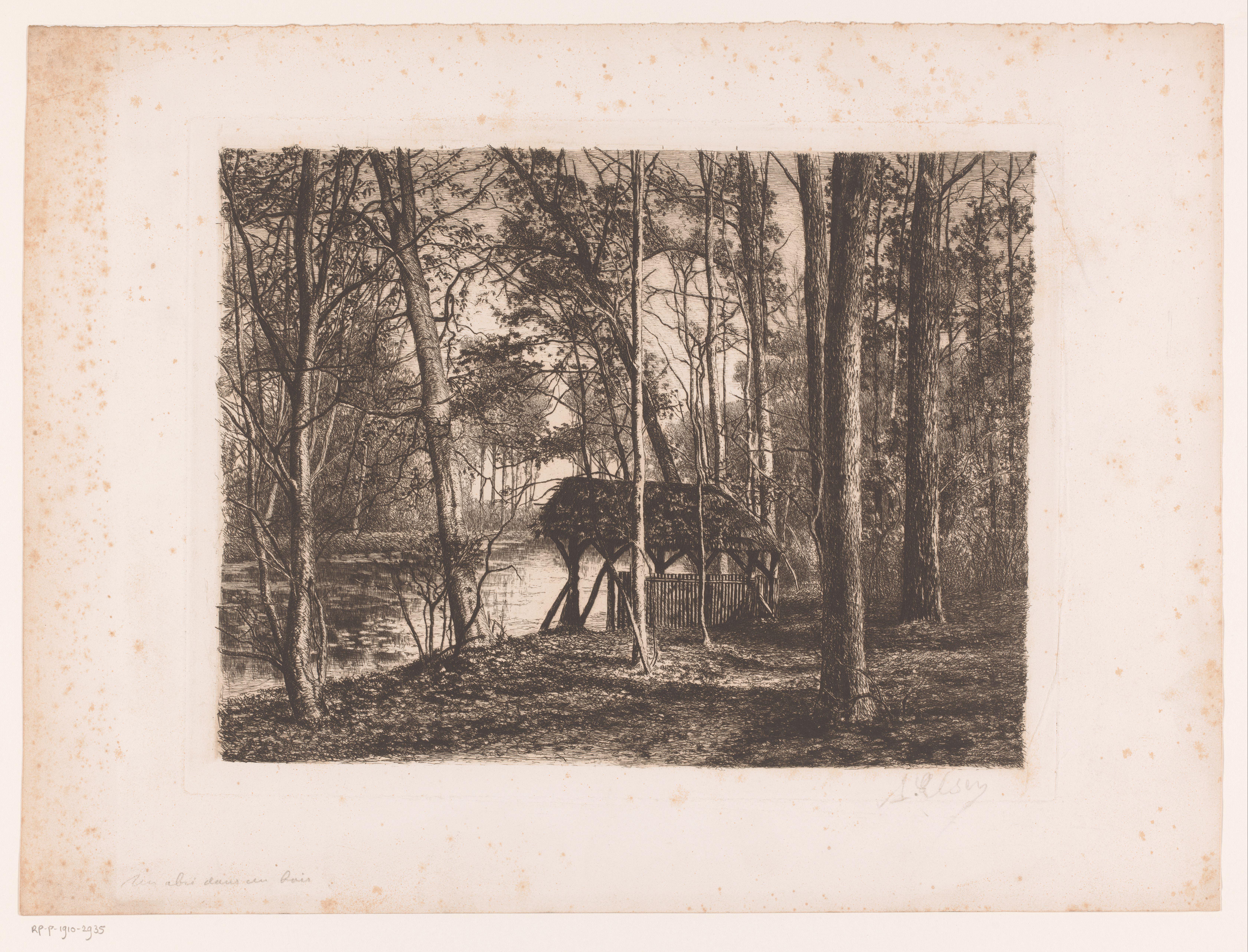 Bosgezicht met water en schuilplaats