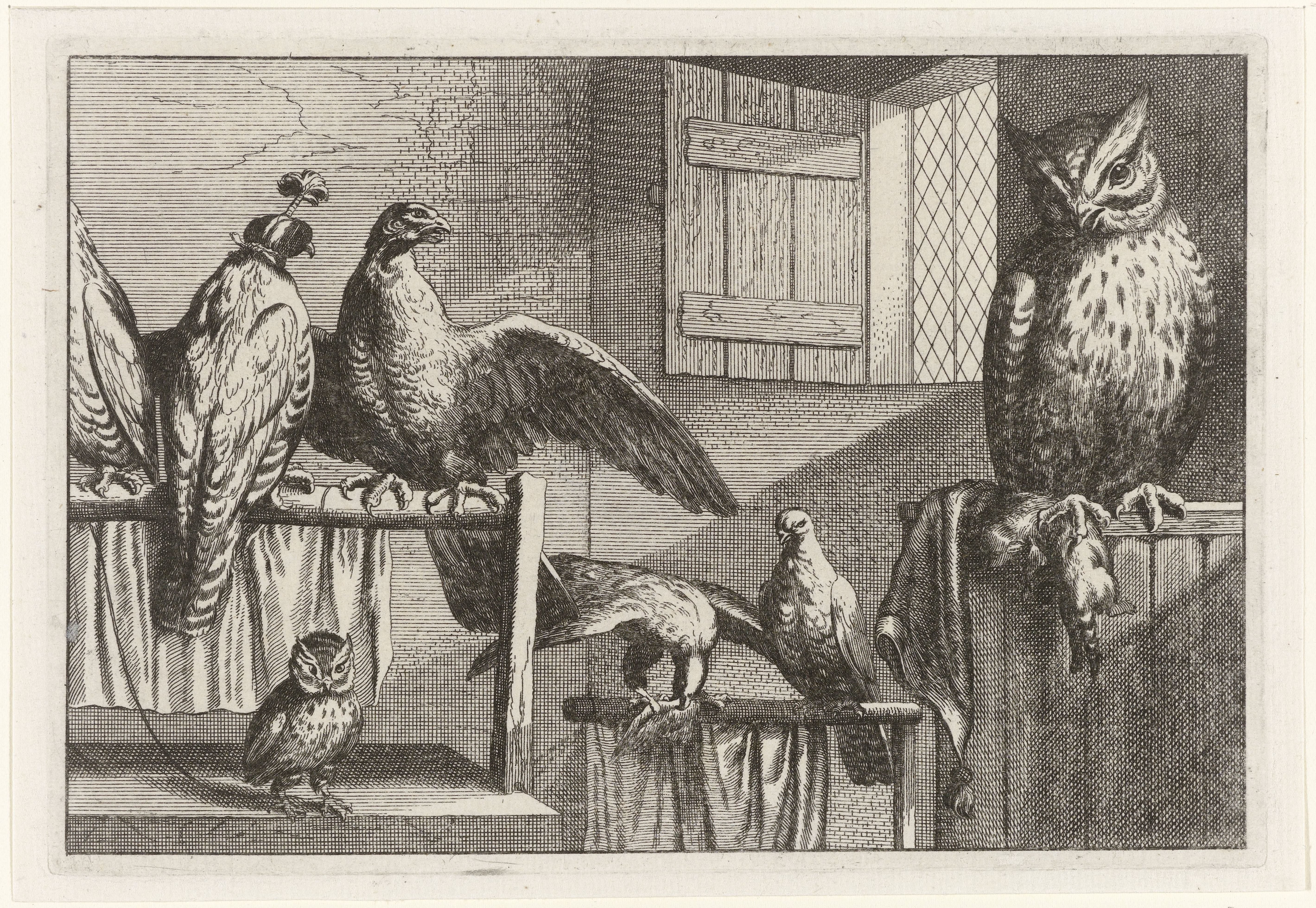 Titelblad Diversae Avium Species