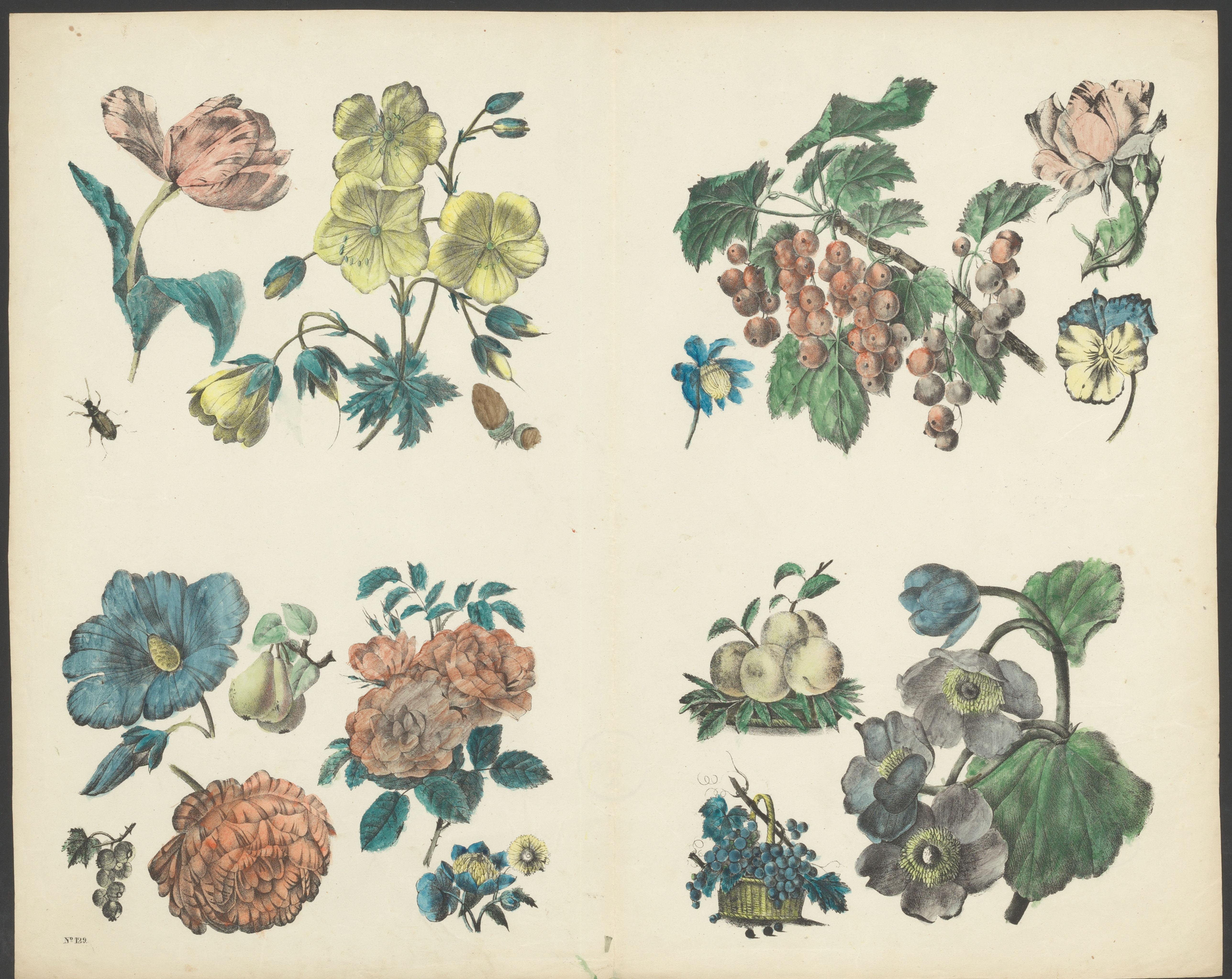 Diverse bloemen