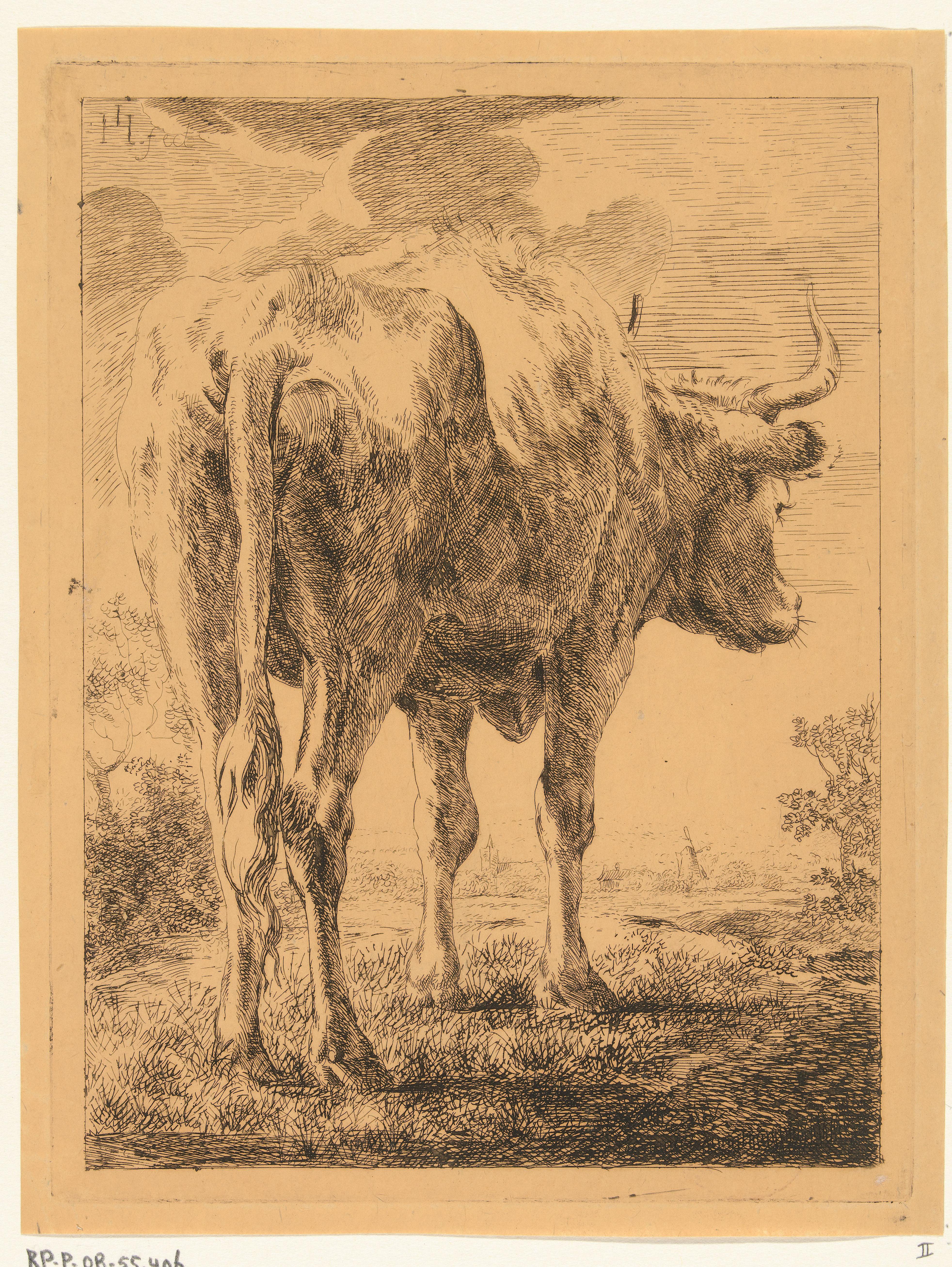 Koe in een landschap