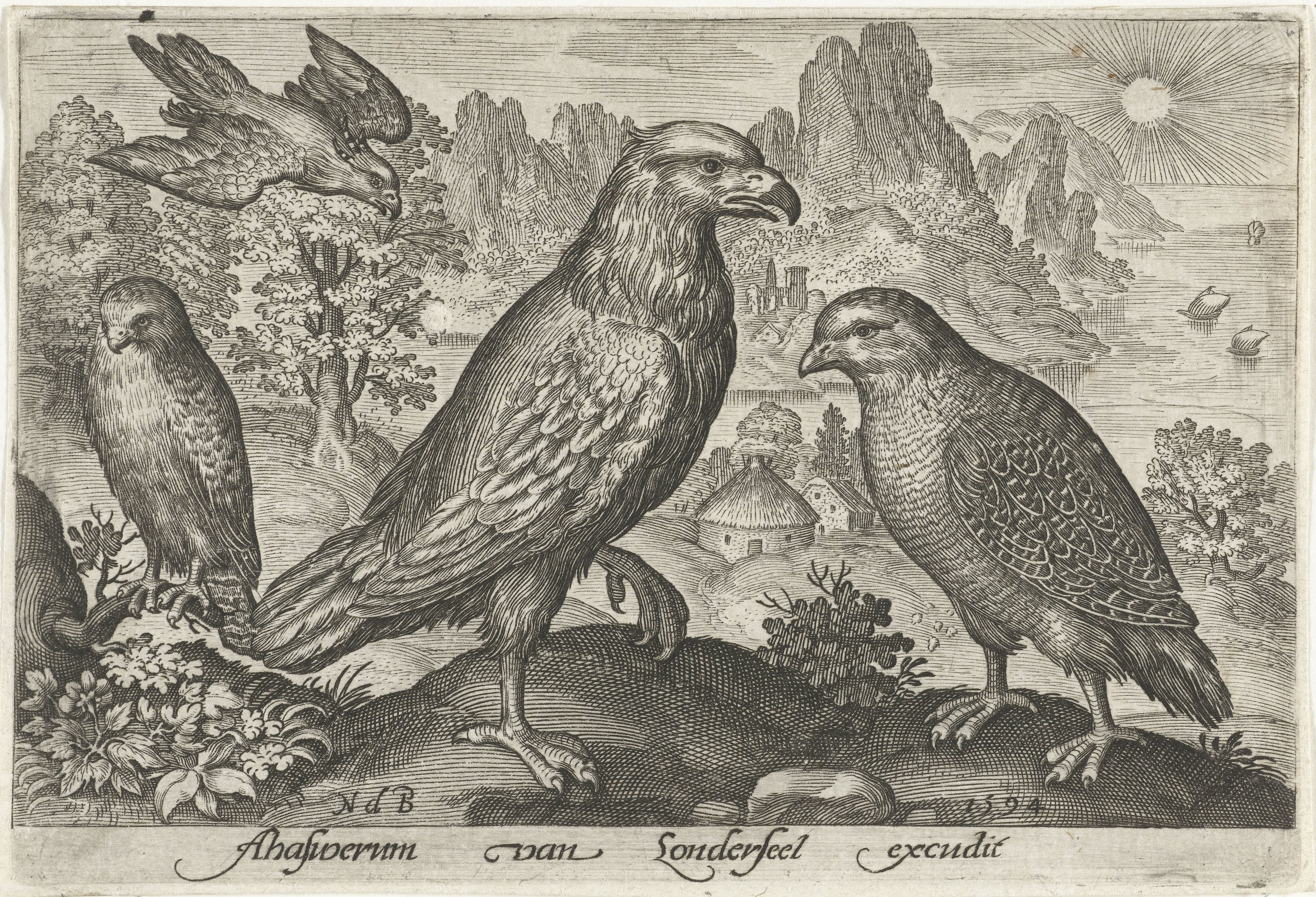 Arend en andere roofvogels
