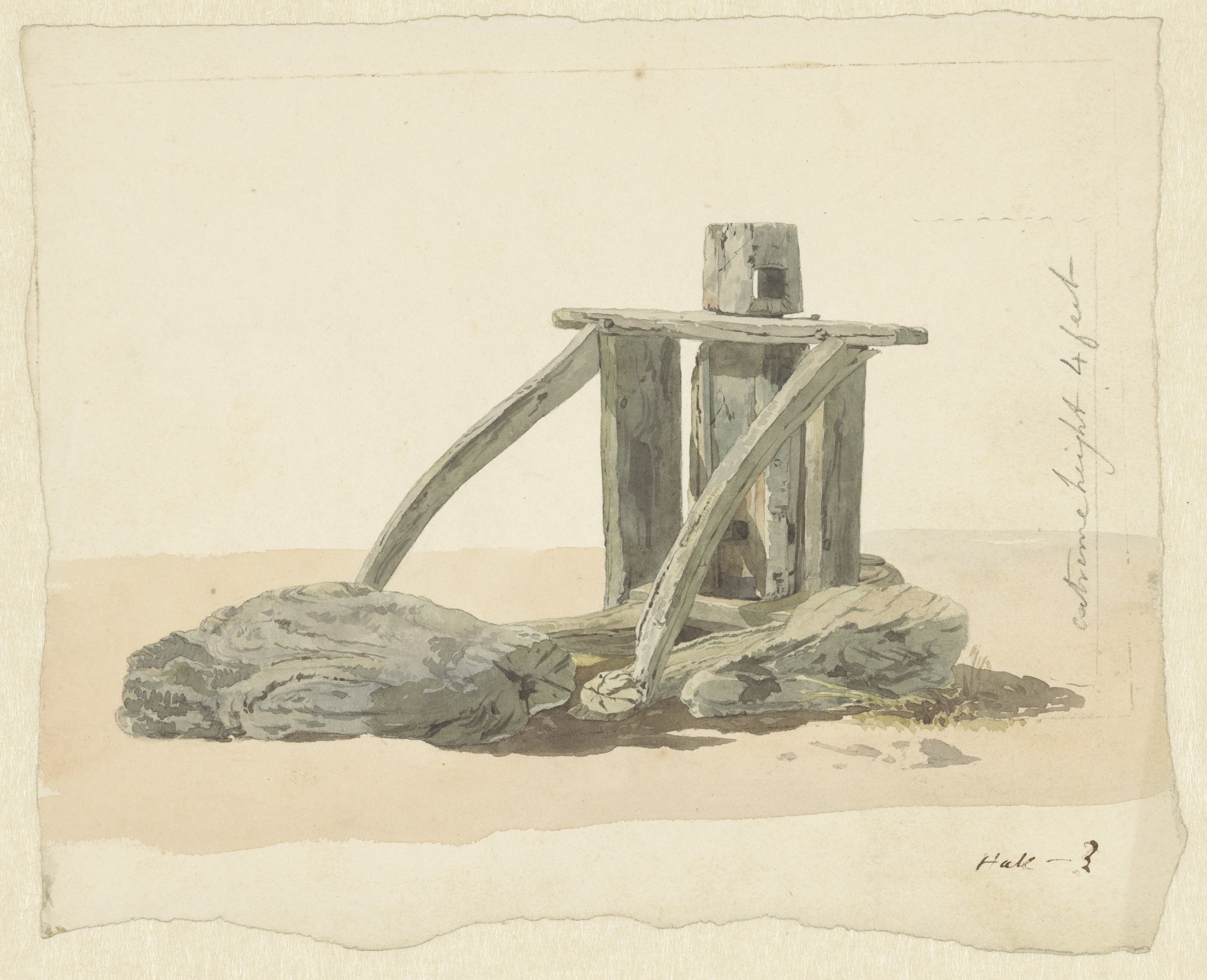 Kaapstander op het strand