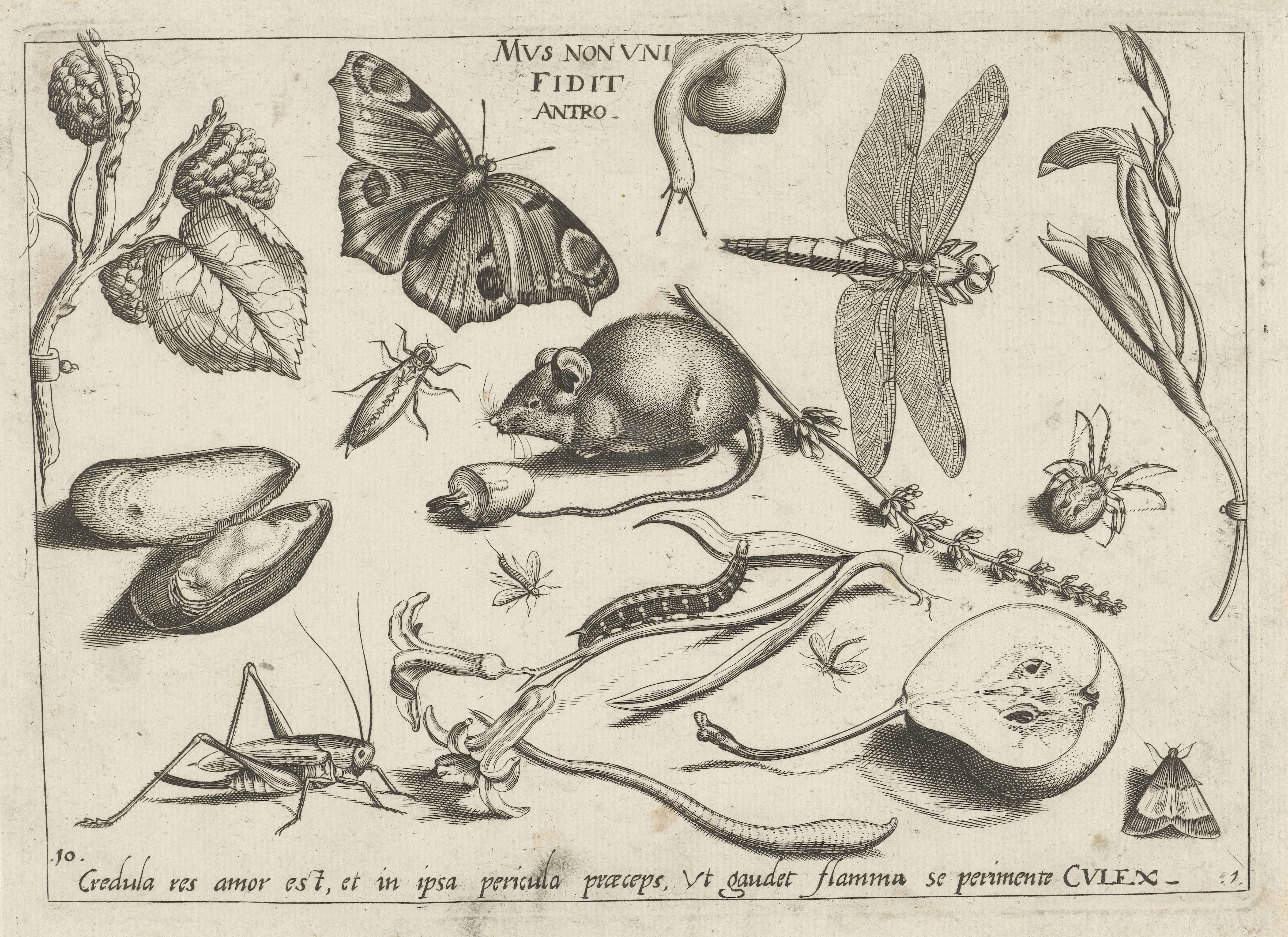 Dieren, planten en vruchten rond een muis