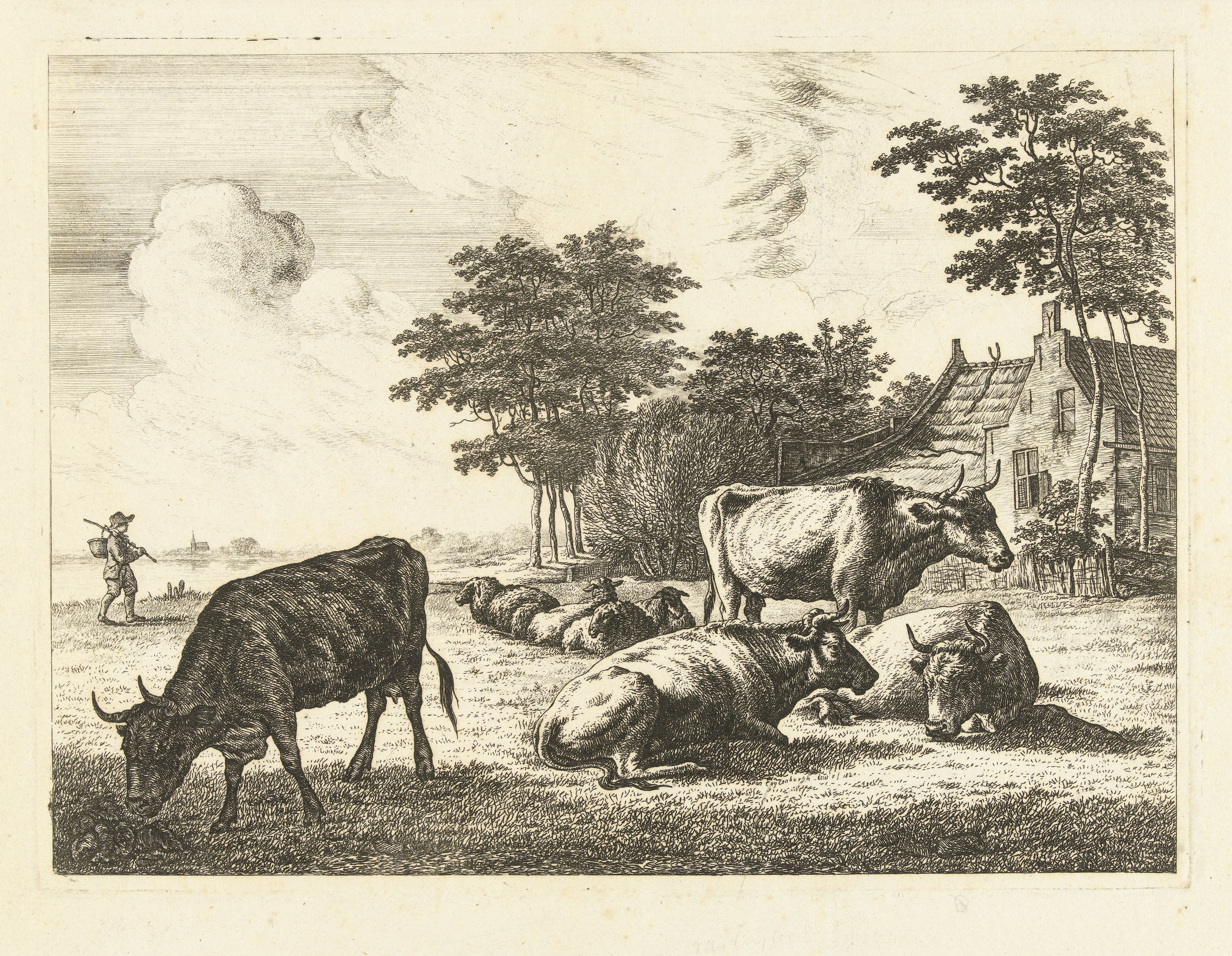 Koeien en schapen liggend in weide voor boerderij