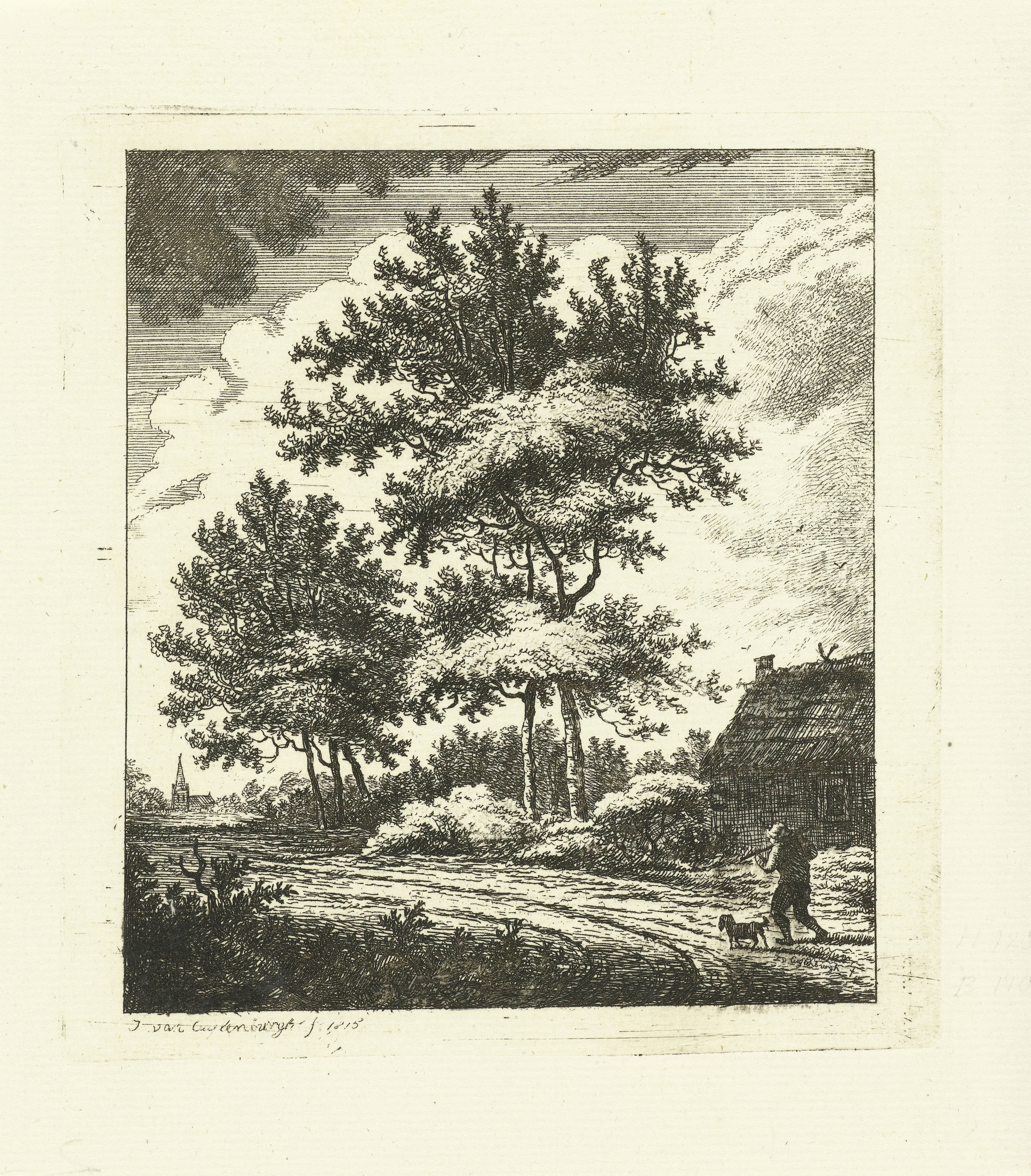 Landschap met landweg