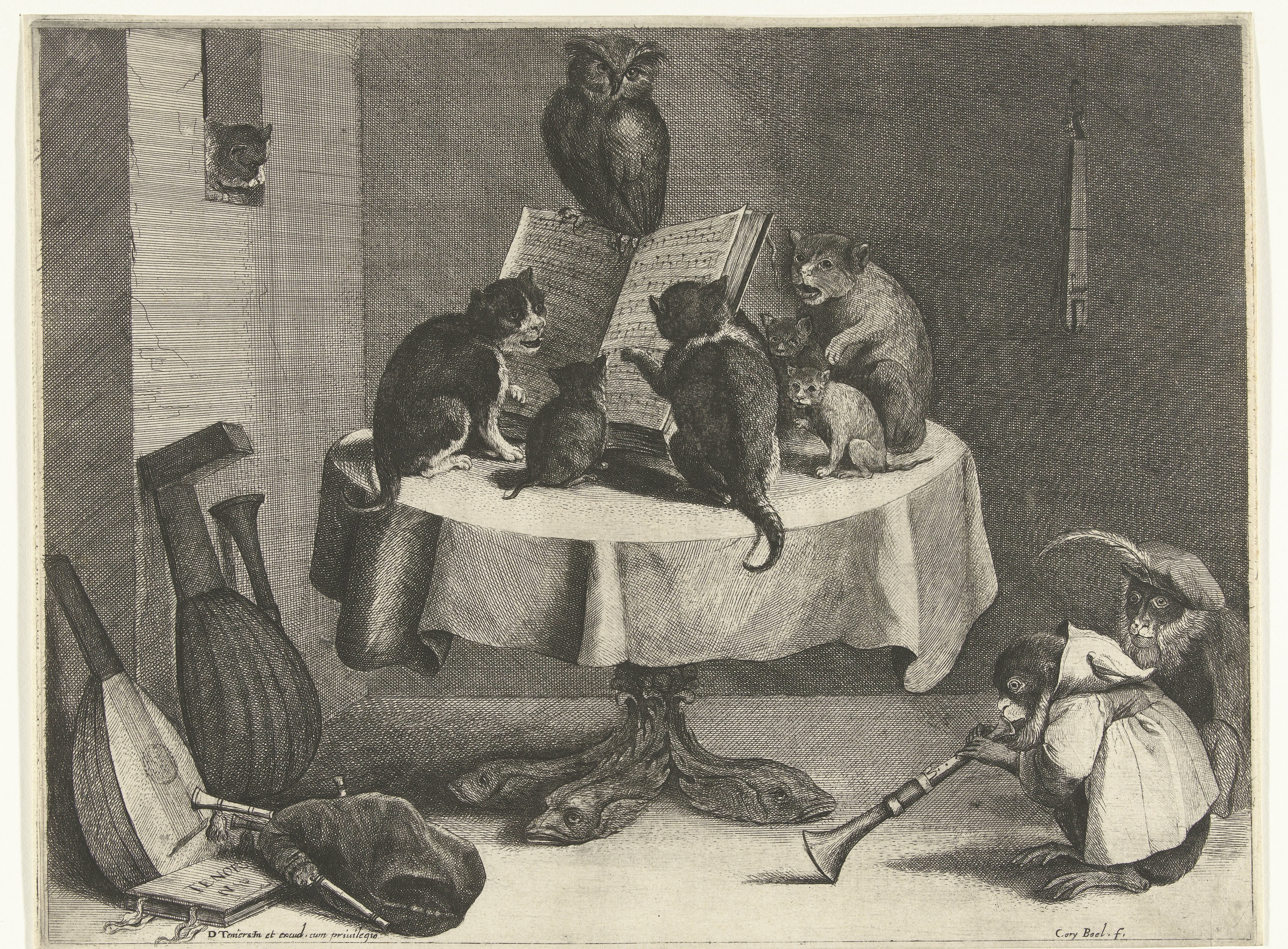Kattenconcert