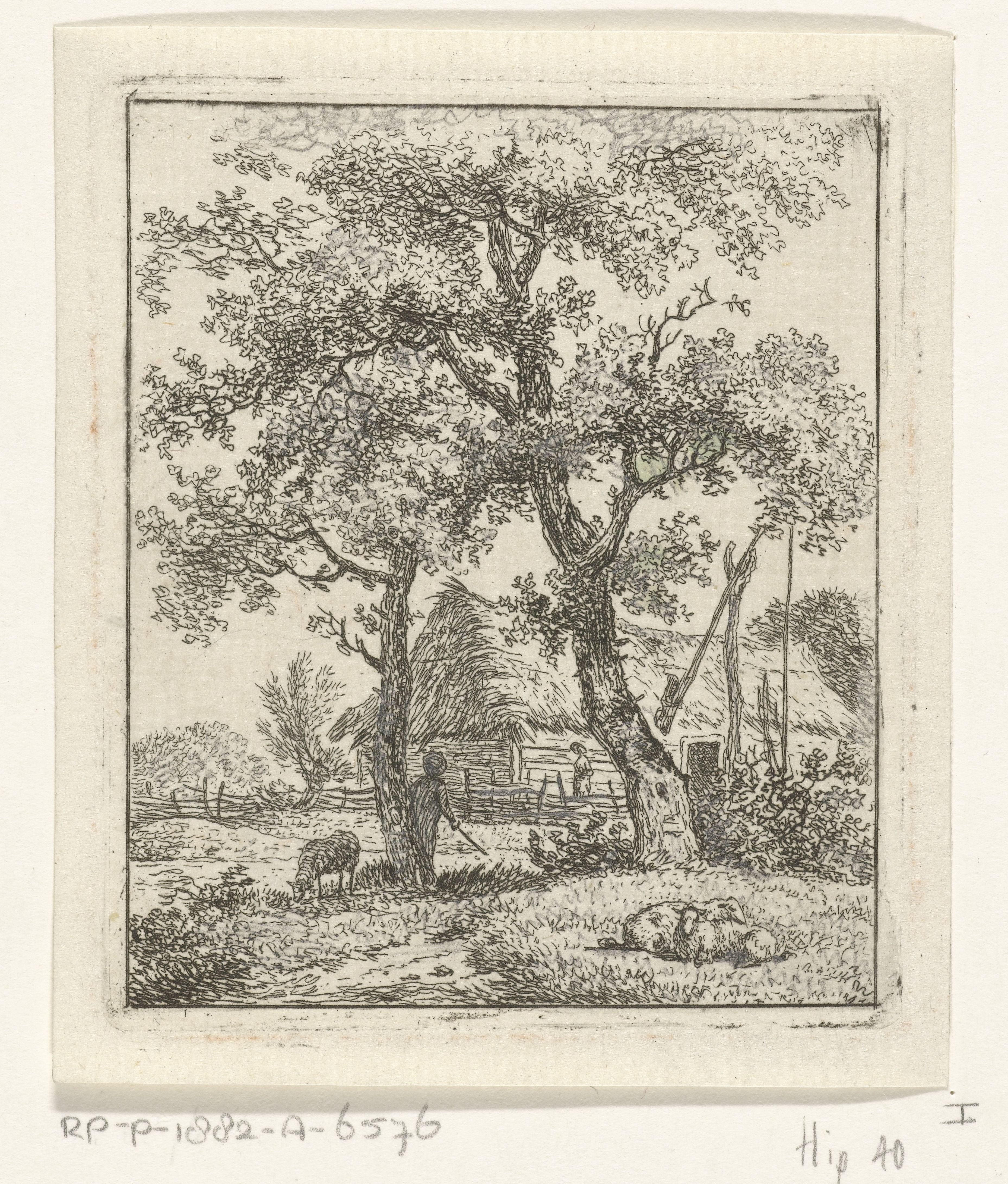 Boerderij en schaapsherder