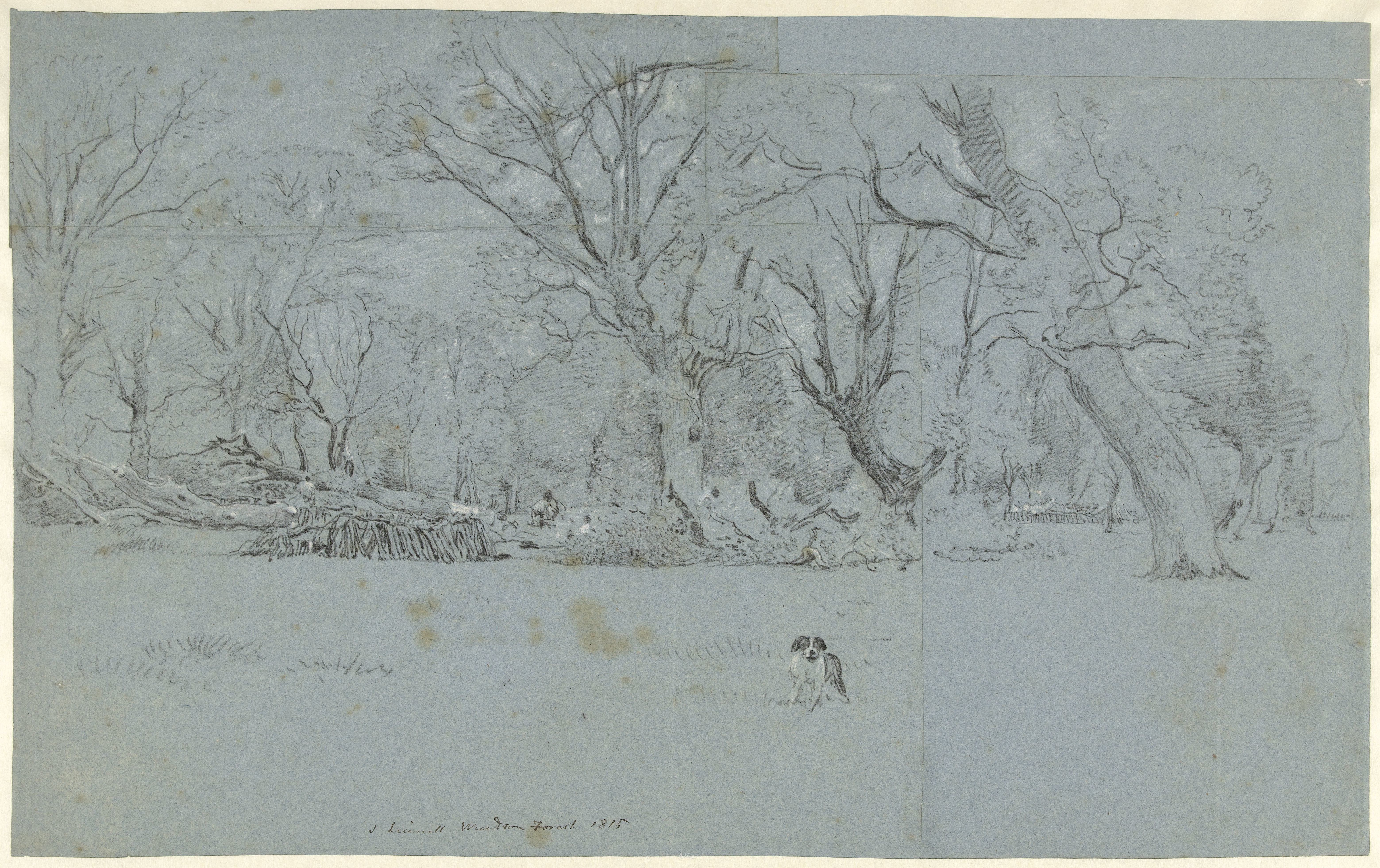 Gezicht in het bos te Windsor