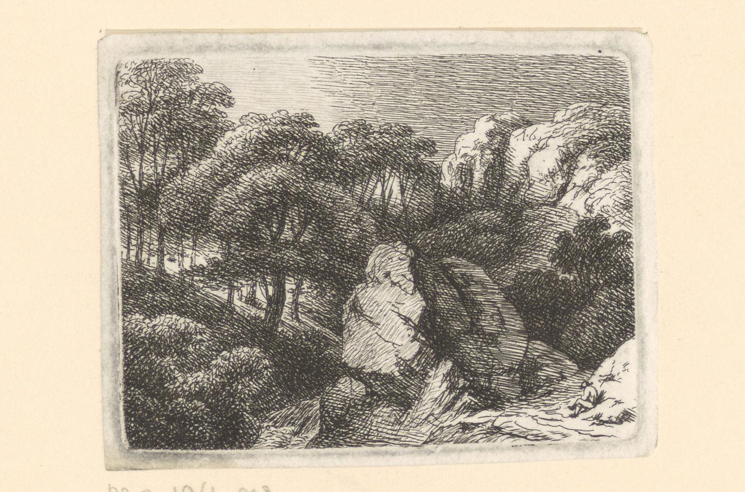 Rotsachtig landschap met bomen