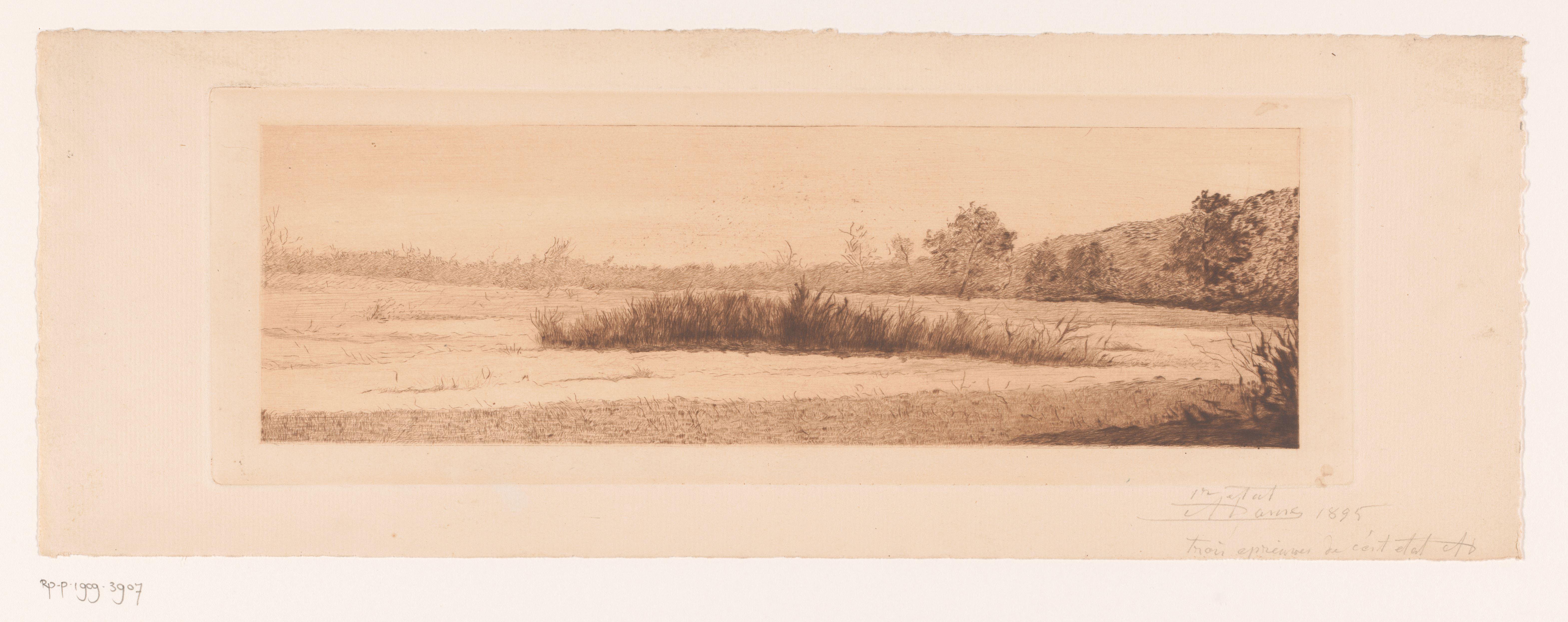 Landschap met een rietkraag in een meer