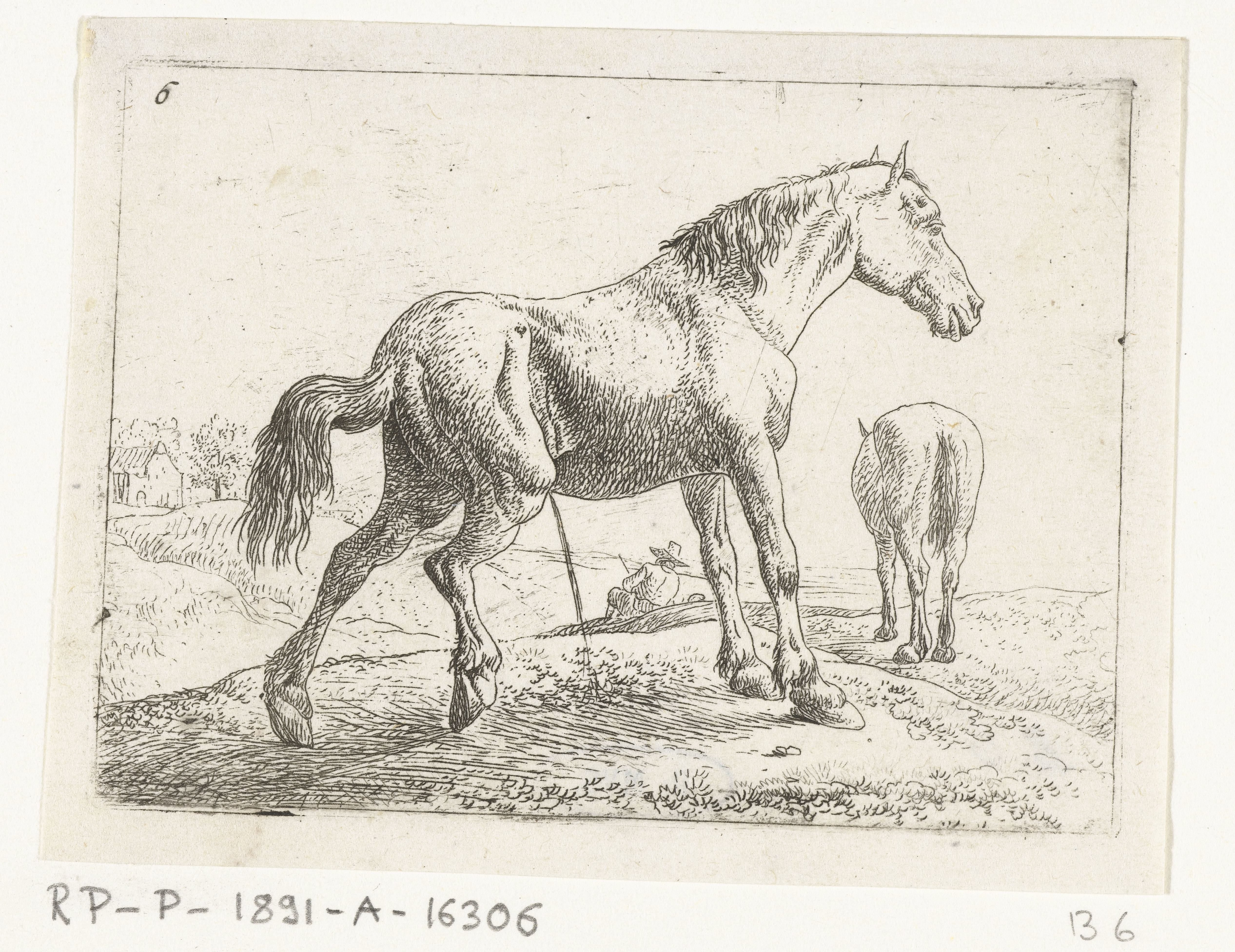 Pissend paard