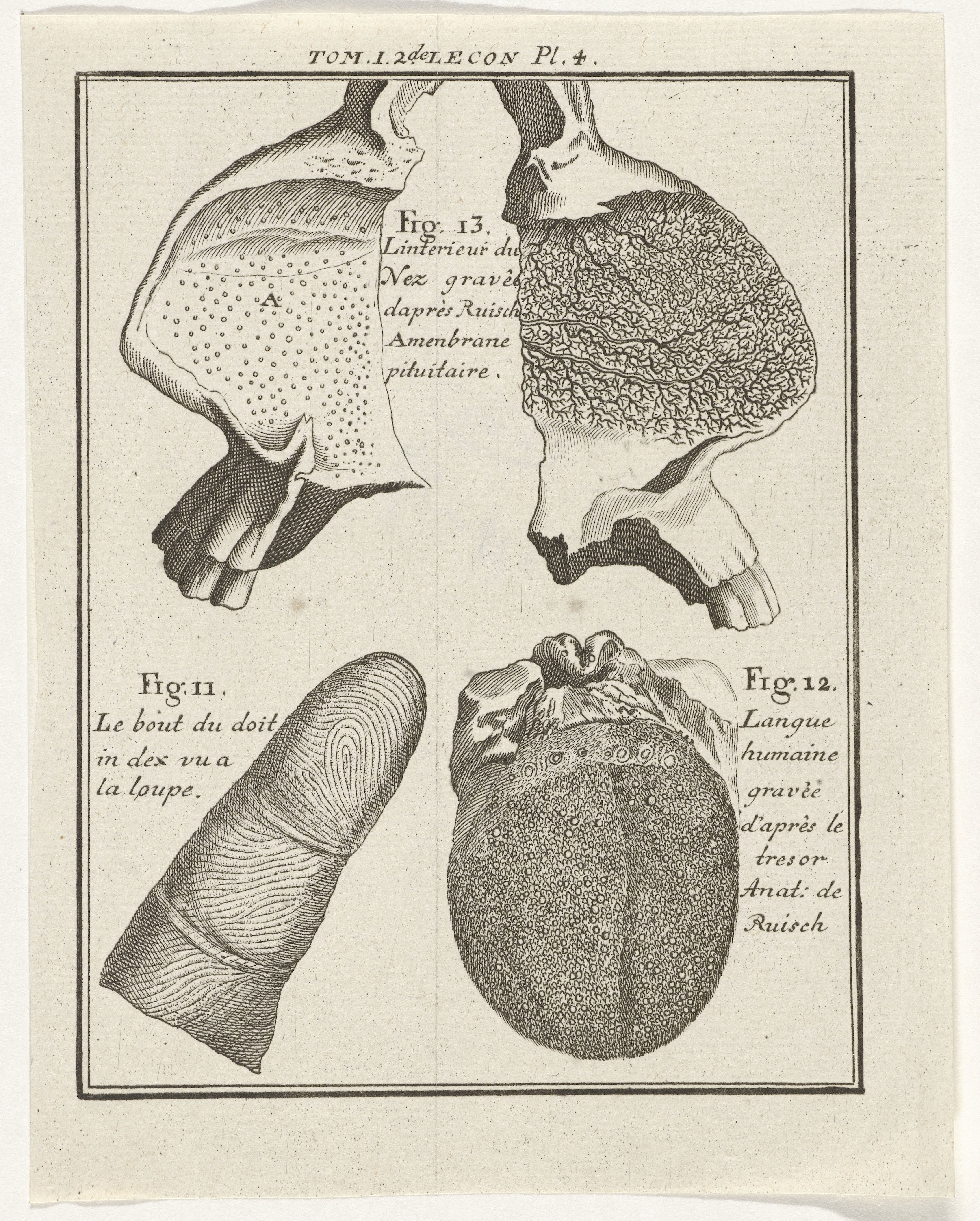 Nicolaas van Frankendaal